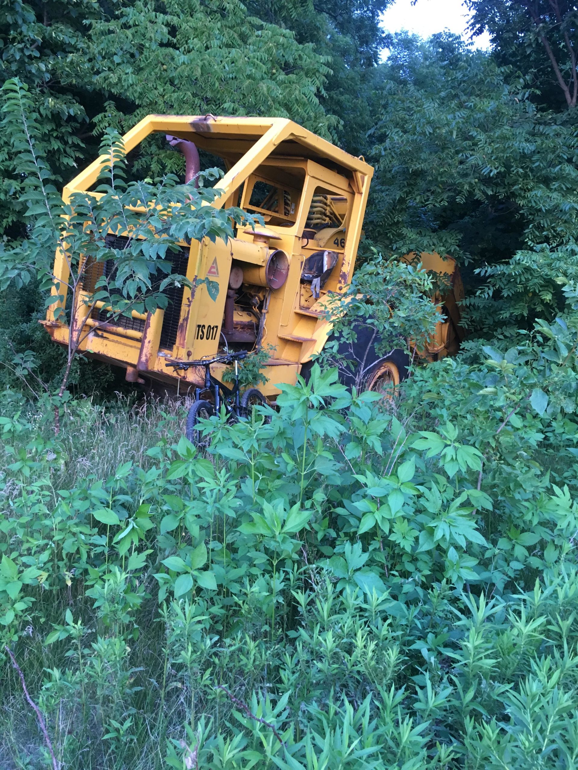 An abandoned yellow piece of machinery, partially obscured by dense green foliage and tall grasses. The structure appears to be in a state of disrepair, with plants growing around and through it, indicating it has been left unused for some time. Parkhill Conservation area and rail trail mountain bike trail.