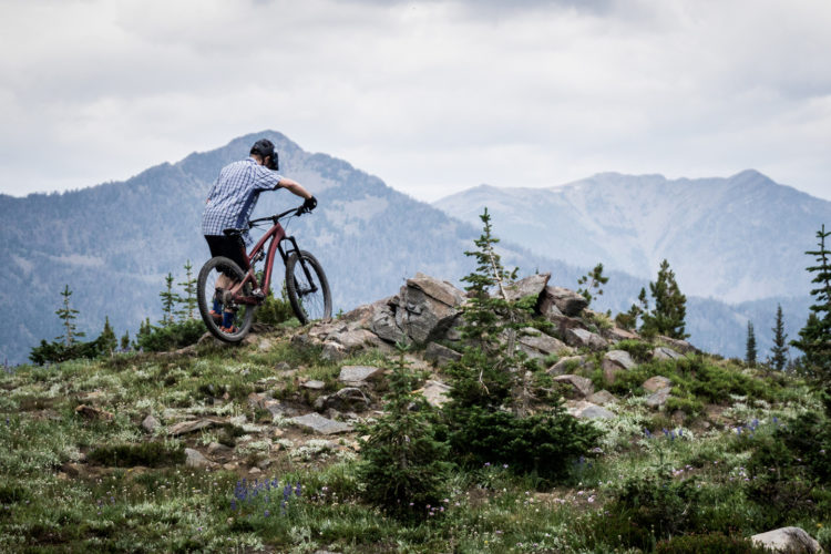 A mountain biker wearing a helmet and a checkered shirt is standing on a rocky outcrop surrounded by green vegetation and wildflowers, with a mountainous landscape in the background under a cloudy sky.