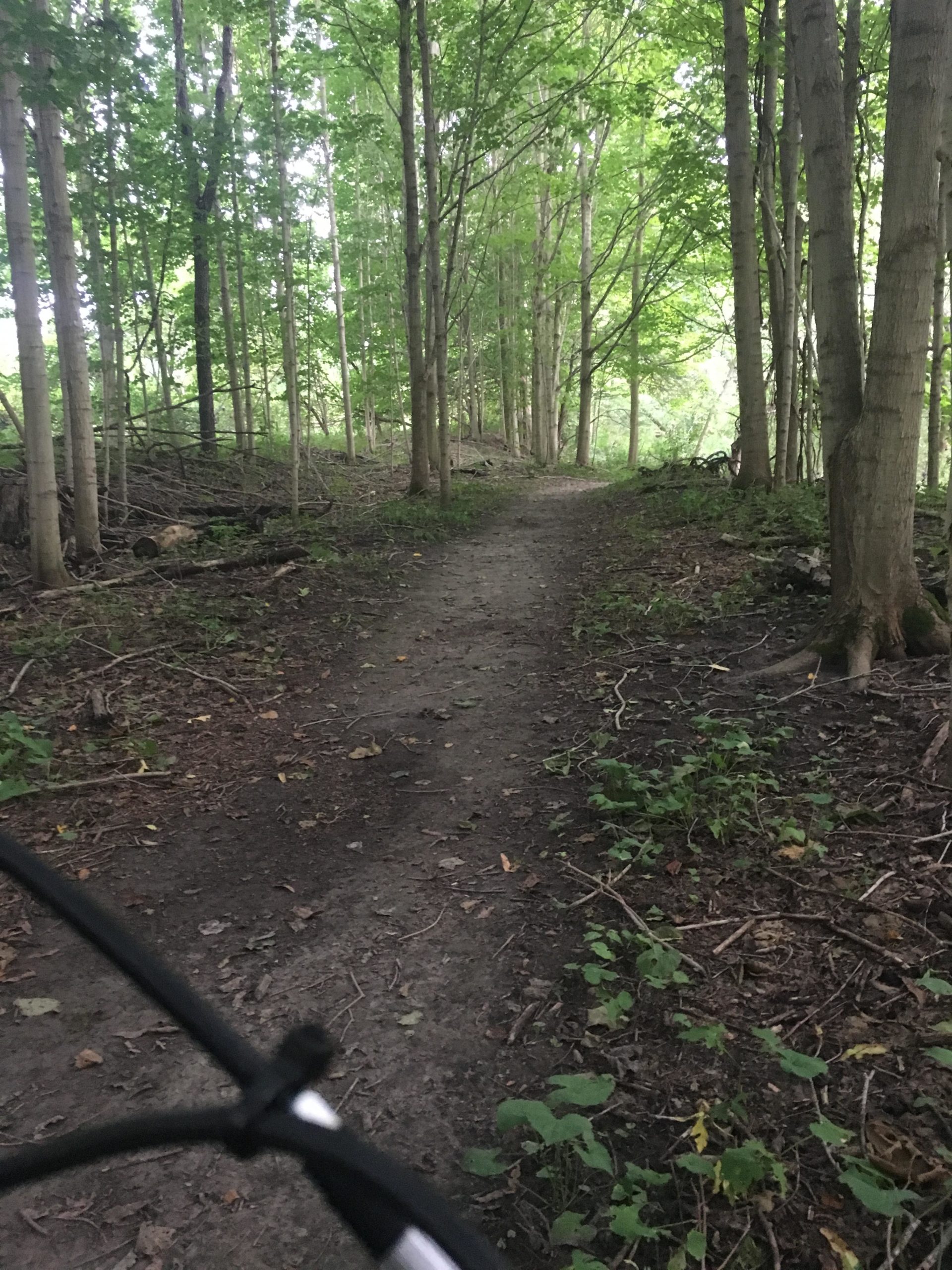 A narrow dirt path winding through a lush green forest, flanked by tall trees on either side. The scene is calm and natural, with scattered leaves and underbrush along the trail, suggesting a peaceful outdoor setting. A portion of a bicycle is visible in the foreground, indicating the perspective of someone riding or exploring the area. Dalewood (st.thomas) mountain bike trail.