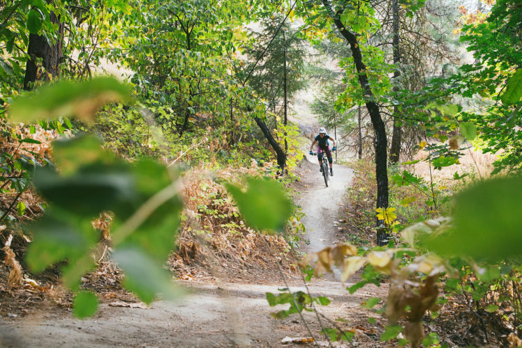 A mountain biker rides along a dirt trail surrounded by lush green trees and foliage, capturing the essence of outdoor adventure in a forested setting.
