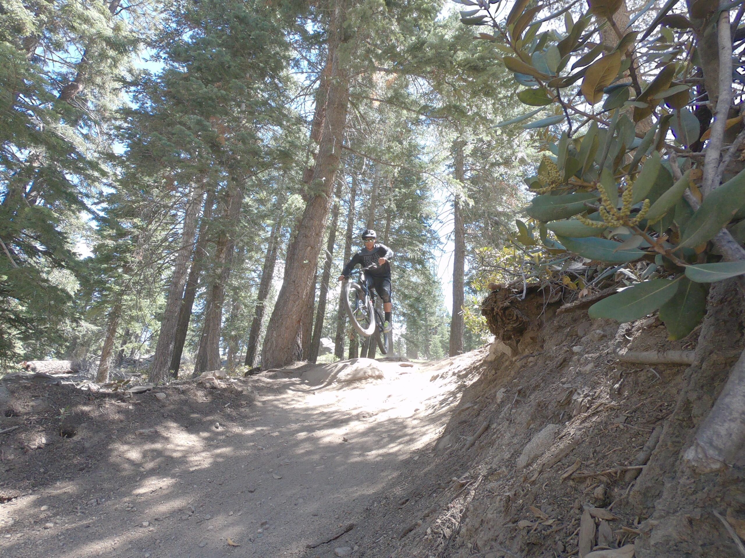 Specialized SWORKS Stumpjumper FSR: A mountain biker performing a jump on a dirt trail surrounded by tall pine trees, with sunlight filtering through the foliage. The cyclist is airborne, showcasing an exciting moment in a forested off-road setting.
