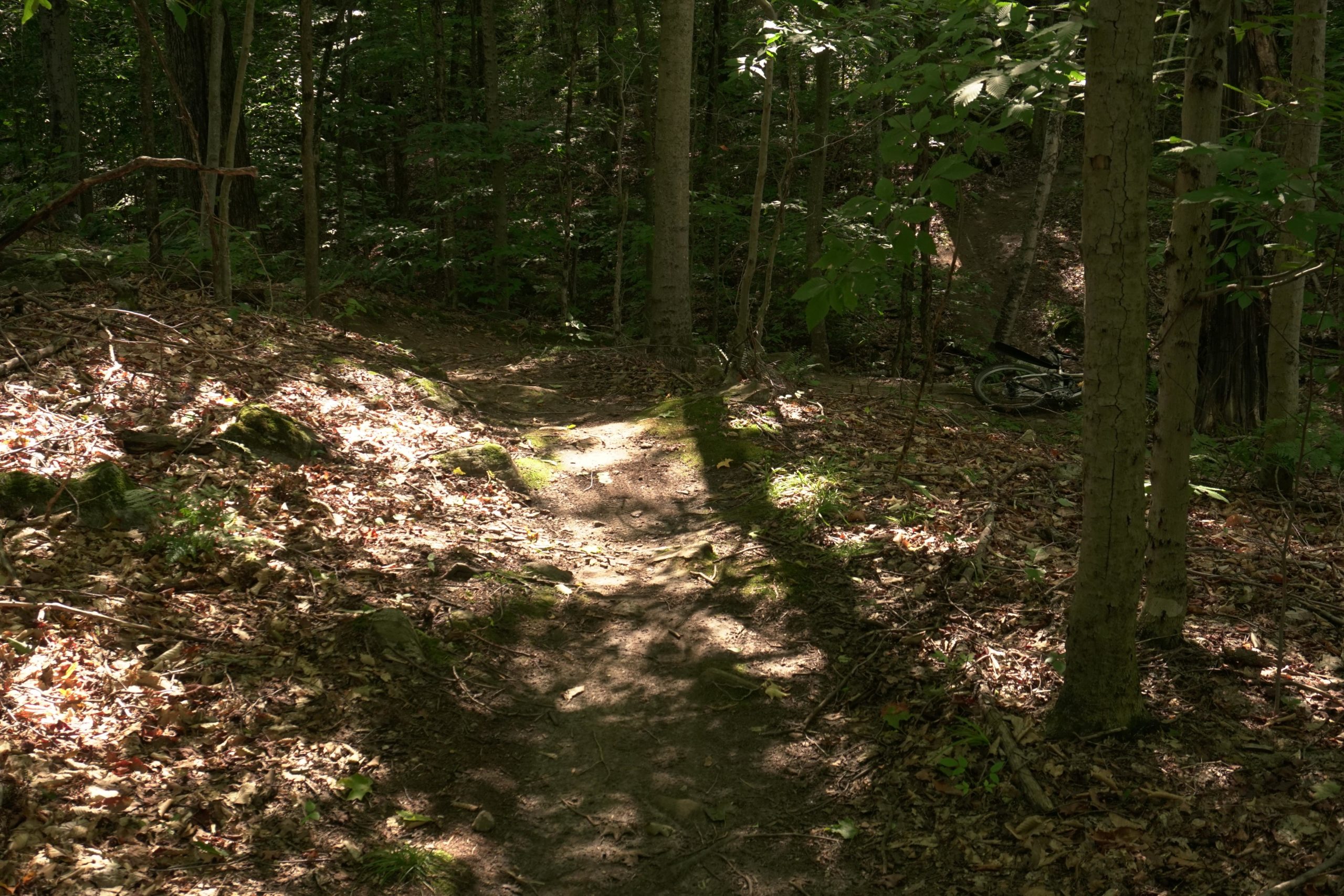 A sunlit dirt trail winding through a dense forest, with fallen leaves and moss-covered rocks along the sides. A bicycle can be seen partially hidden in the background amidst the trees. Mount Pisgah II: the left side mountain bike trail.