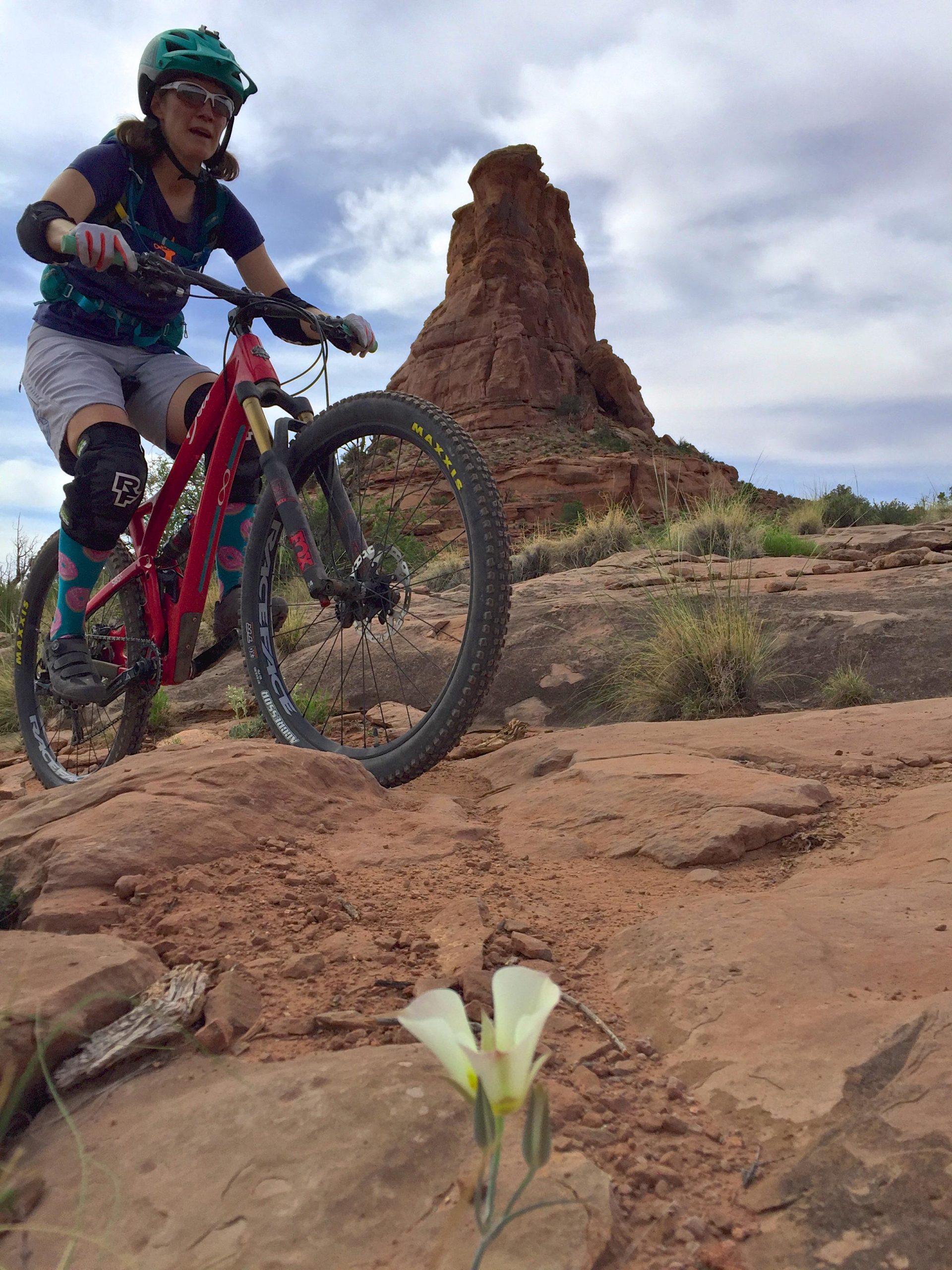 A mountain biker rides over rocky terrain with a prominent rock formation in the background. The cyclist, wearing a helmet and protective gear, is focused on the trail. In the foreground, a delicate white flower adds a touch of nature to the rugged landscape. The scene is set under a cloudy sky, highlighting the outdoors and adventure. Hymasa mountain bike trail.