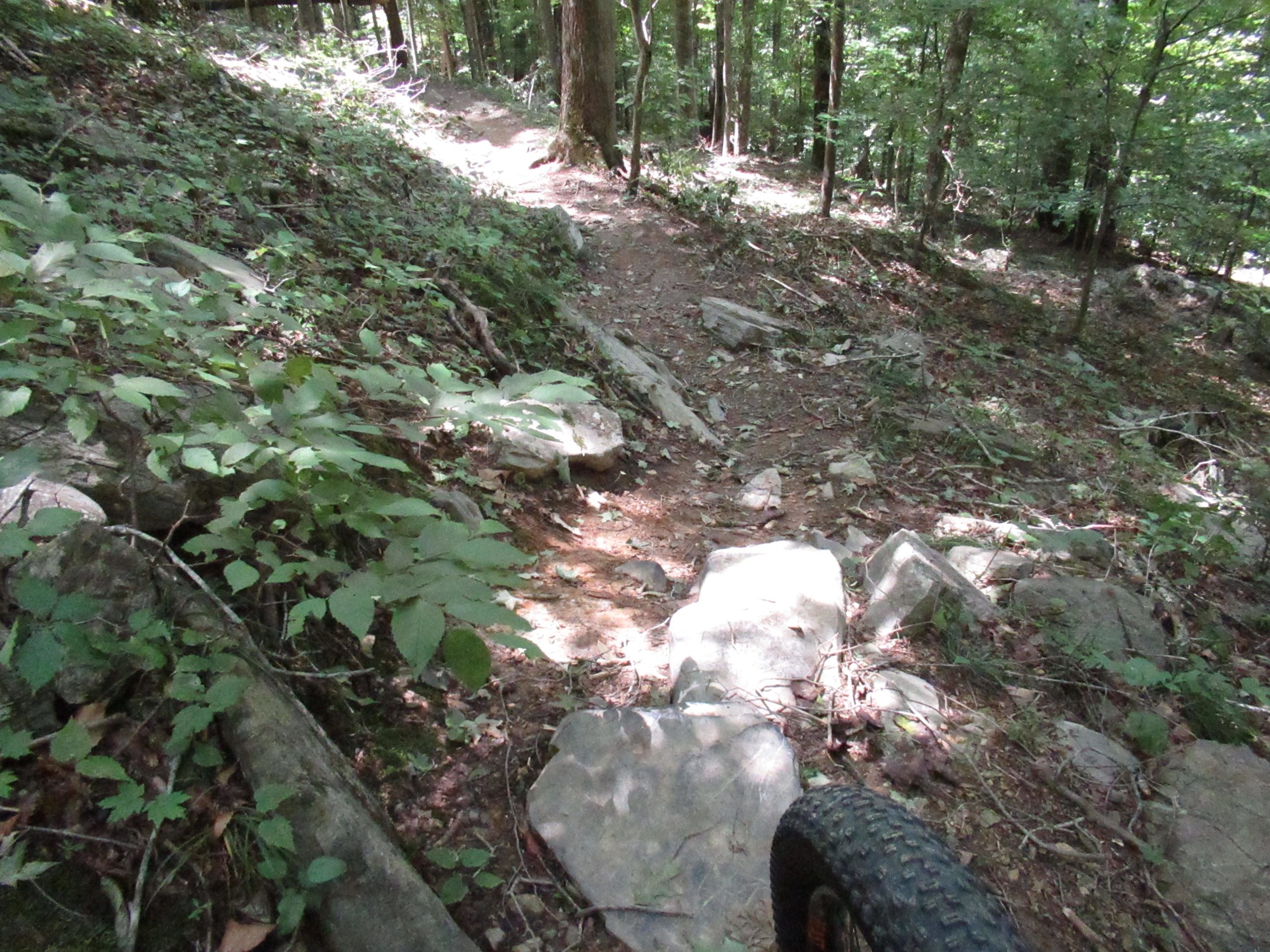 A narrow, rocky trail winding through a lush green forest. The path is lined with large stones and covered in leaves, with sunlight filtering through the trees, creating a dappled light effect on the ground. A wheel of a bicycle is partially visible in the foreground, suggesting a biking perspective on the trail. Warriors' Path State Park mountain bike trail.