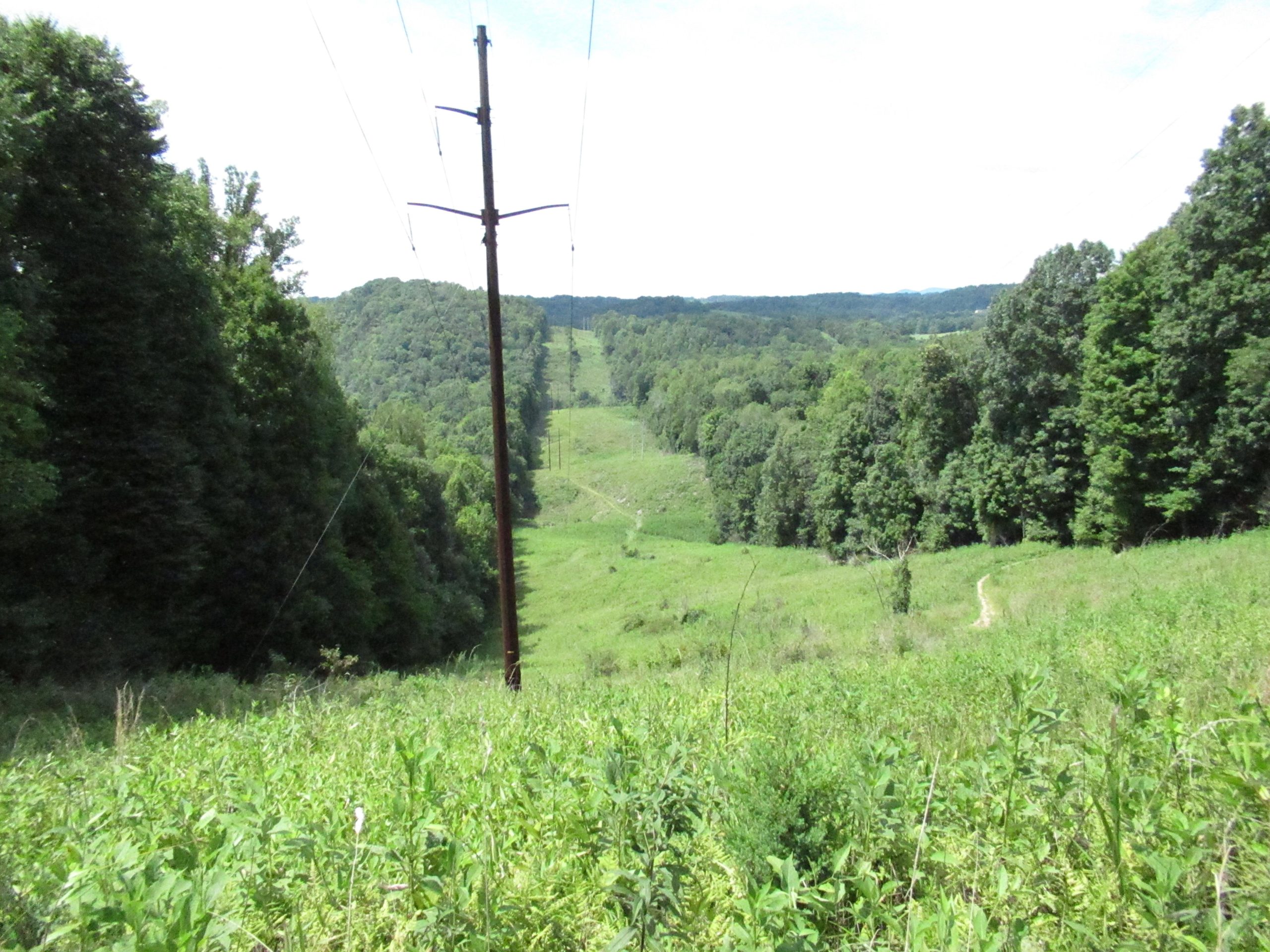 A scenic view of a lush green valley with power lines running through it. The landscape features a mix of rolling hills and dense trees, with a clear path winding through the grassy foreground. The sky is bright, suggesting a sunny day. Warriors' Path State Park mountain bike trail.