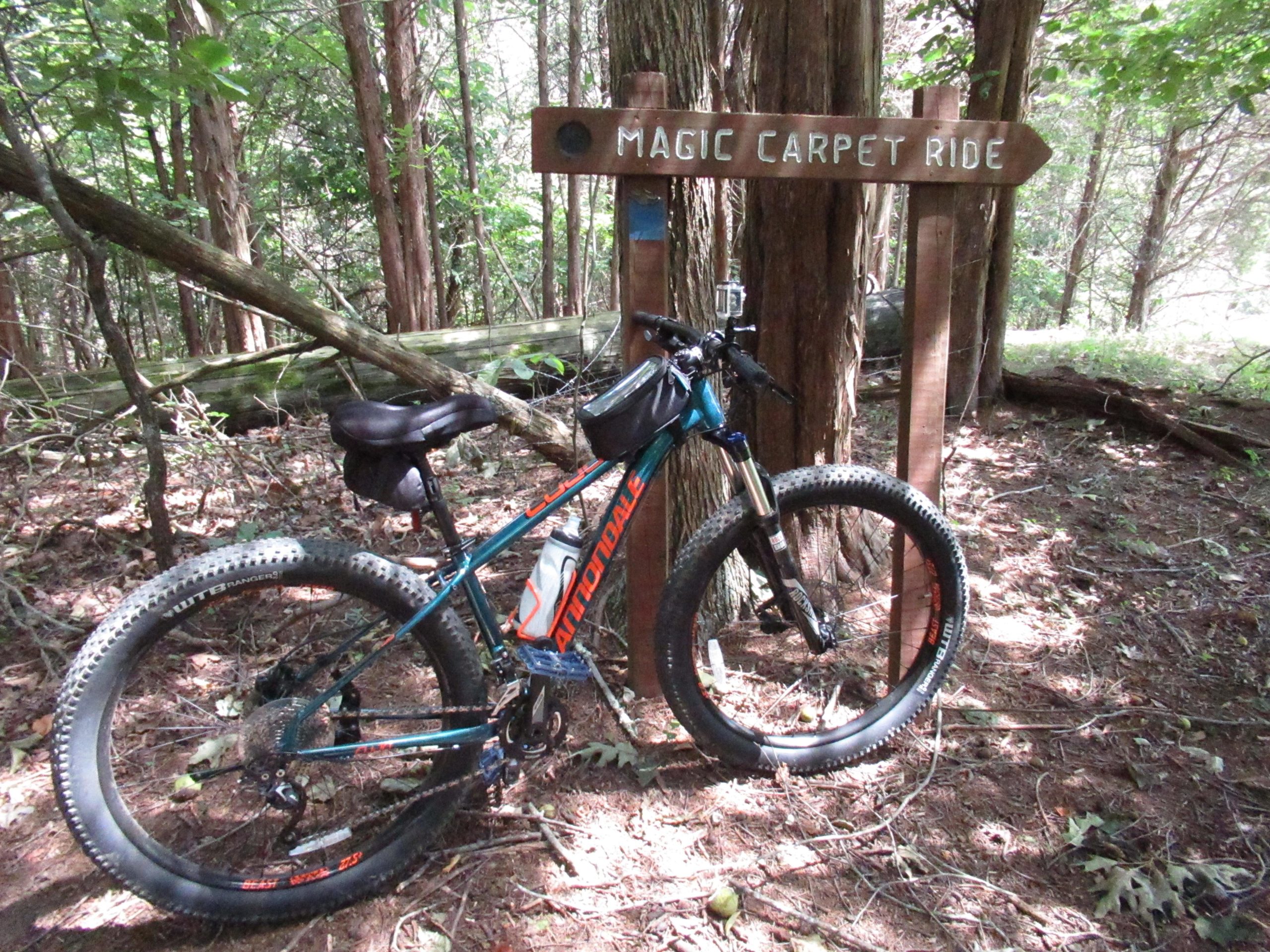 A mountain bike leaning against a wooden sign that reads "Magic Carpet Ride," surrounded by a dense forest with tall trees and foliage. Sunlight filters through the leaves, creating a dappled effect on the ground covered in pine needles and small plants. Warriors' Path State Park mountain bike trail.