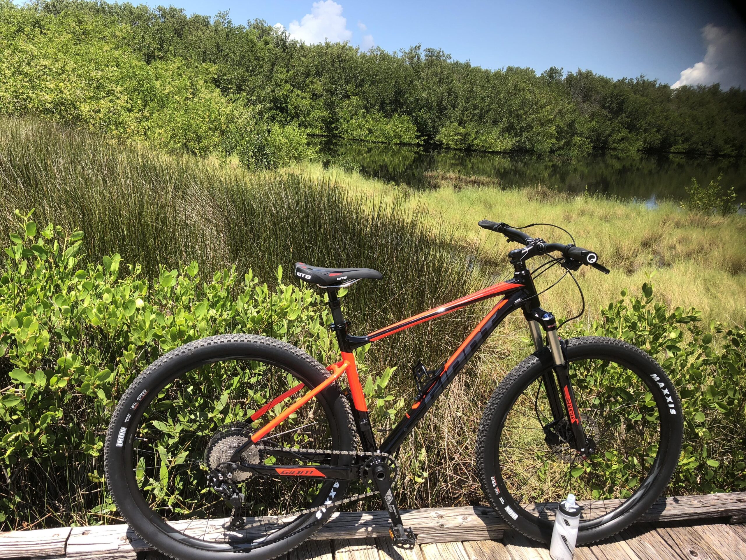 Giant Giant Fathom 2 29er: A bright orange mountain bike is parked on a wooden boardwalk surrounded by lush greenery and tall grass, with a calm body of water visible in the background. A water bottle sits beside the bike, and the sky is partly cloudy.