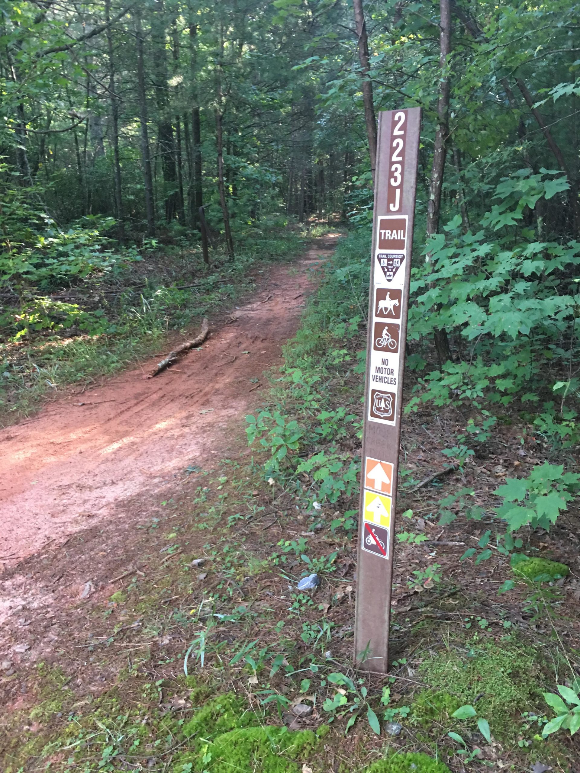 Trail sign marking Trail 223J, surrounded by trees and vegetation, with a dirt path leading into the woods. The sign includes various symbols indicating trail usage rules, including no motor vehicles, and is partially obscured by greenery. Jake Mountain Trails mountain bike trail.