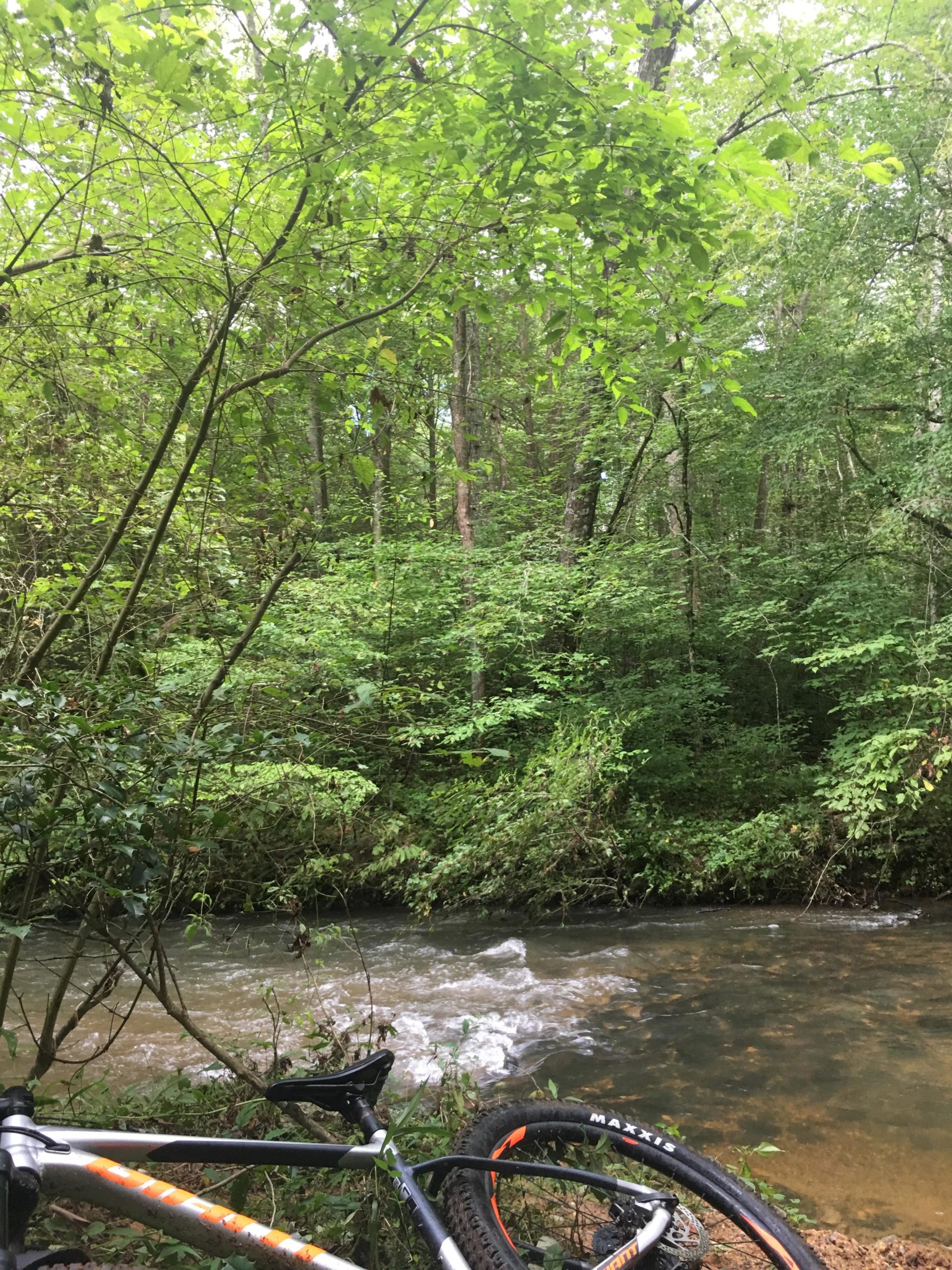 A peaceful forest scene featuring a flowing creek surrounded by lush green trees. In the foreground, a mountain bike rests on the ground, partially obscured by foliage. The water in the creek appears clear, with gentle ripples suggesting movement. The overall atmosphere conveys a sense of tranquility and the beauty of nature. Jake Mountain Trails mountain bike trail.