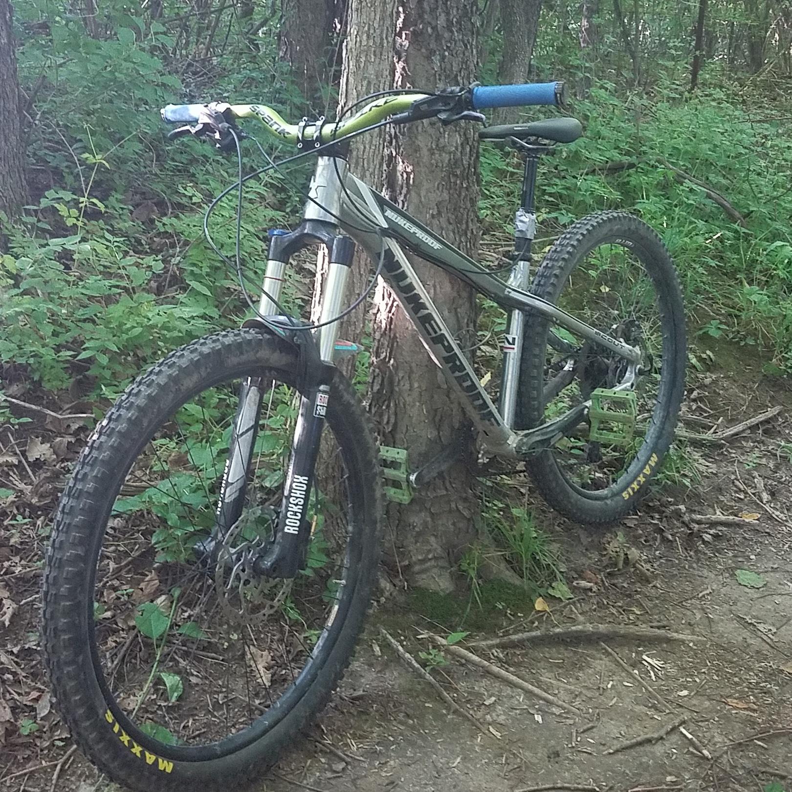 Nukeproof Scout: A mountain bike resting against a tree in a lush forested area, surrounded by greenery and dirt paths, with visible suspension and knobby tires.