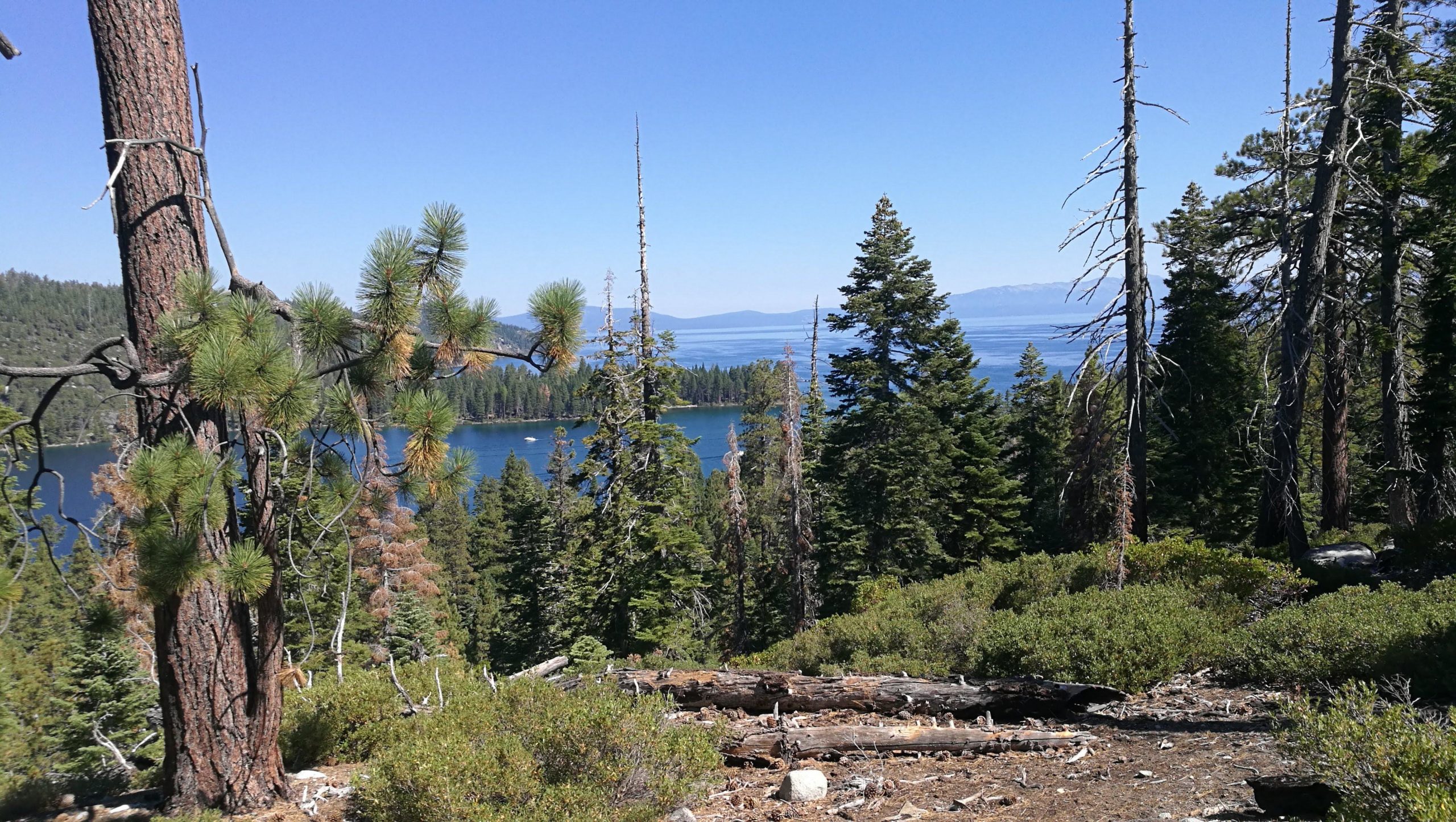 A scenic view of a lake surrounded by tall evergreen trees and rugged terrain, with clear blue skies in the background. The sunlight highlights the lush greenery and tranquil water, creating a serene natural landscape. Rubicon Trail mountain bike trail.
