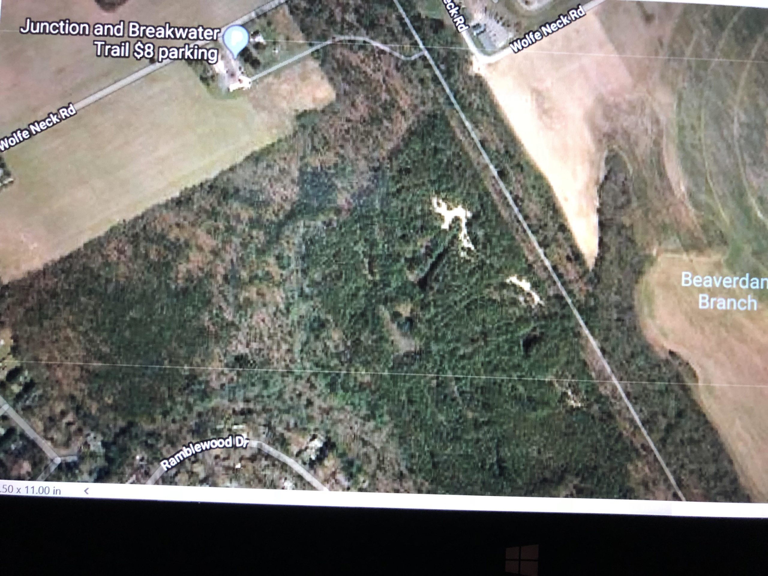 Aerial view of a landscape featuring wooded areas and open fields, with text indicating "Junction and Breakwater Trail $8 parking" and "Beaverdam Branch." Major roads and surrounding residential areas are also visible. Beaver Damn Loop mountain bike trail.