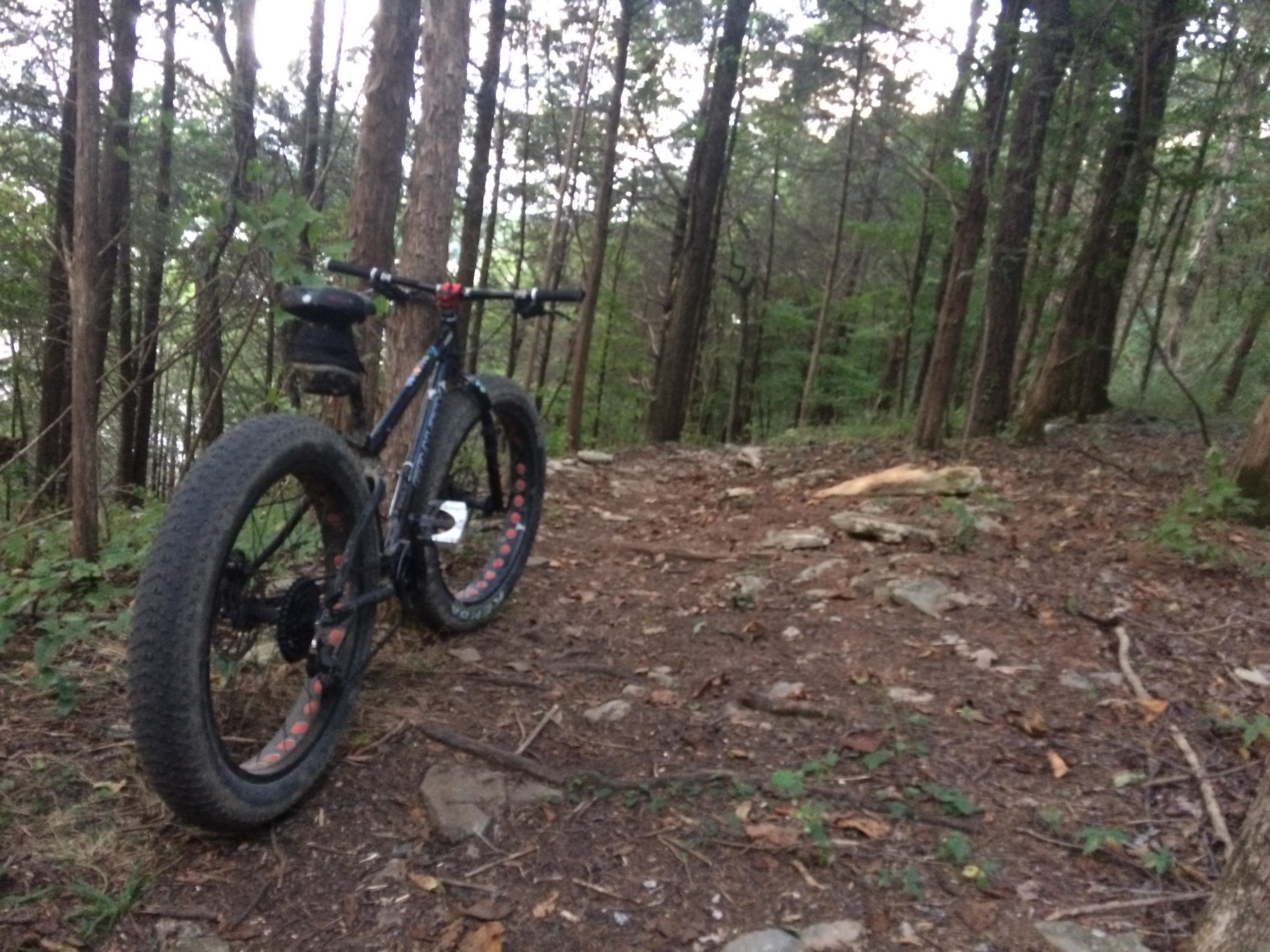 A fat bike parked on a forest trail surrounded by tall trees and rocky ground, with a view of the nearby landscape in the background. Jones Mill mountain bike trail.