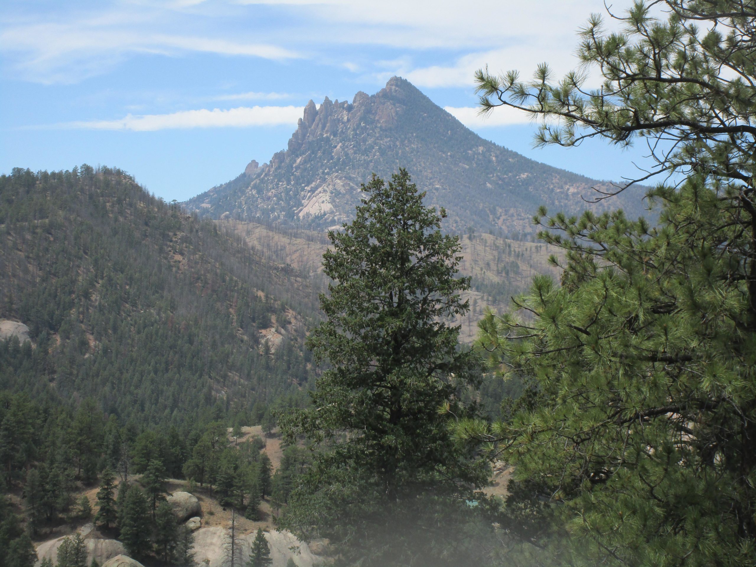 A scenic landscape featuring a prominent rocky mountain peak surrounded by lush green forests and rolling hills under a blue sky with wispy clouds. Pine trees frame the foreground, creating a natural border around the mountainous backdrop. North Fork mountain bike trail.