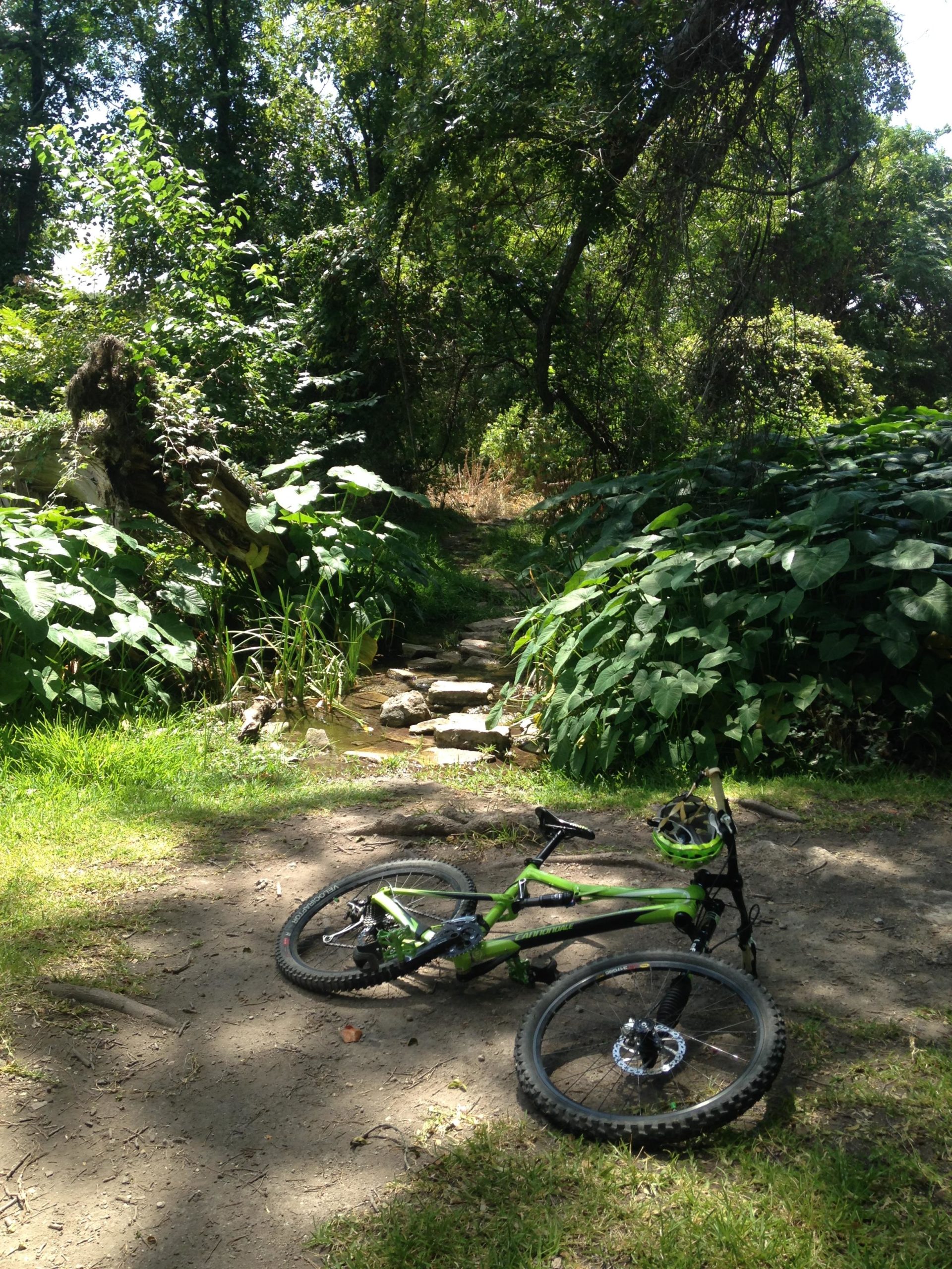 A green mountain bike lies on a dirt path surrounded by lush greenery and trees, with a small creek and stone path visible in the background. The scene captures a tranquil, natural setting perfect for outdoor adventures. Goodwater Trail mountain bike trail.