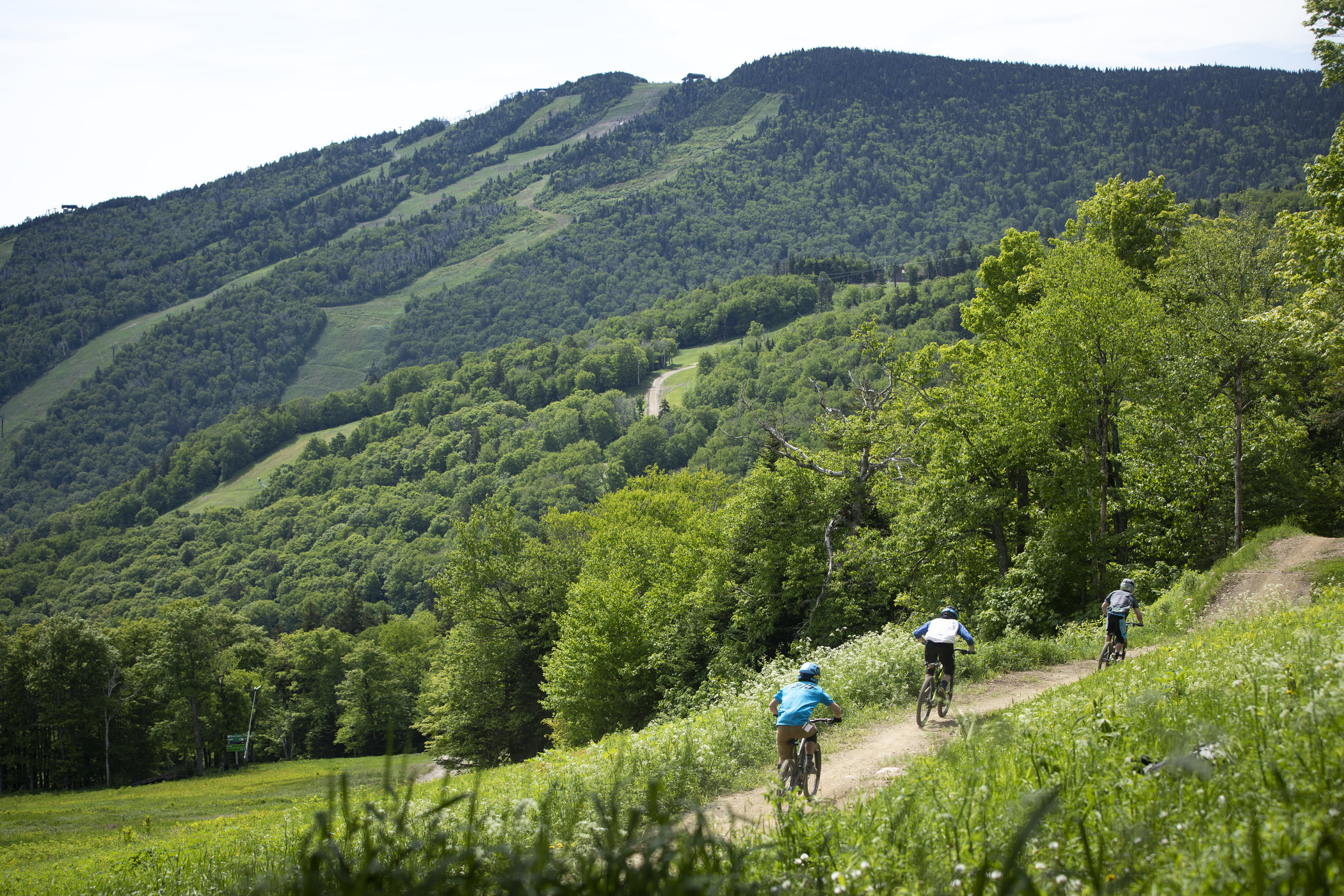 Killington Bike Park A Mountain Biker's Trip Guide Singletracks
