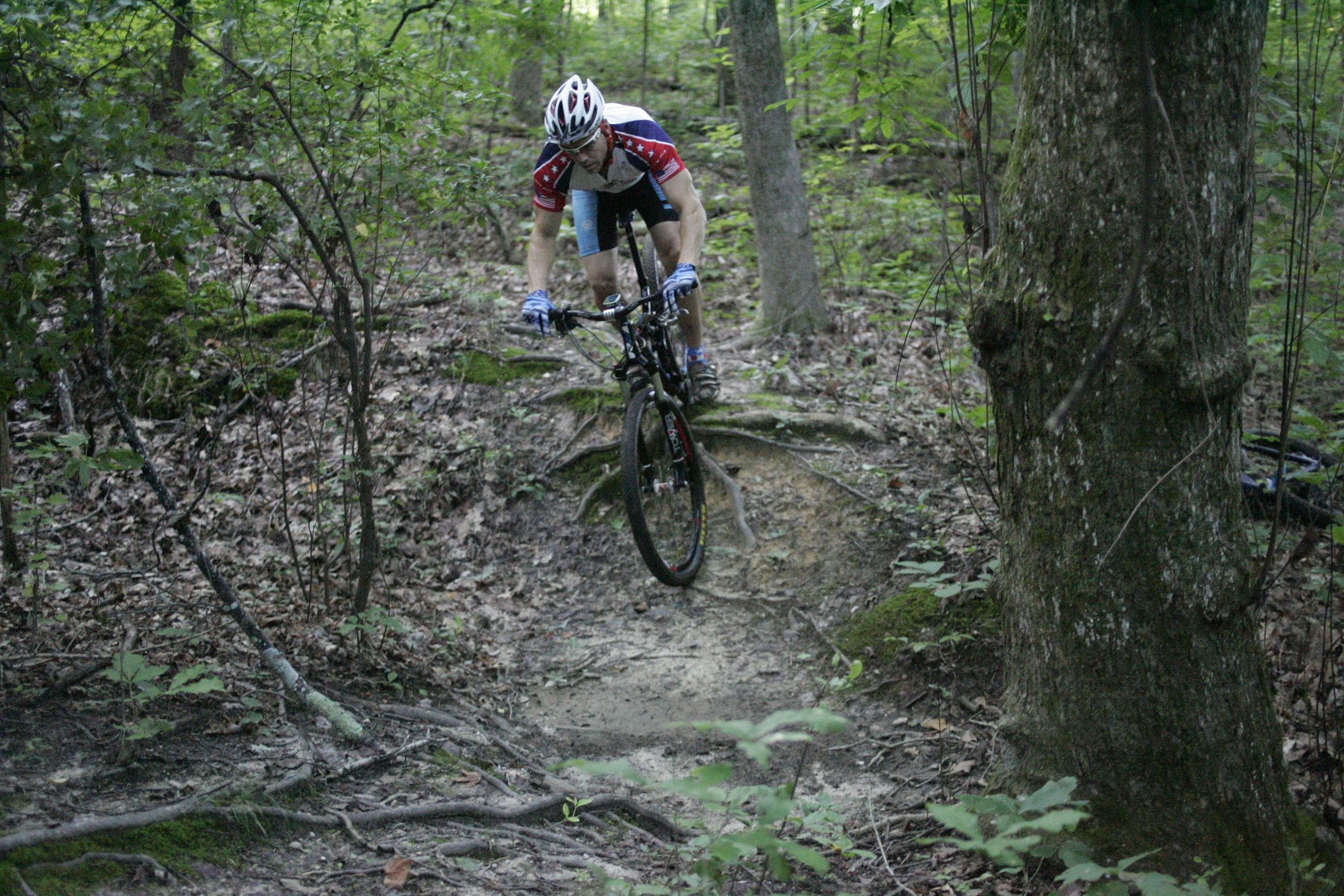 A mountain biker in a helmet and colorful jersey is caught mid-air as they jump over a bump on a wooded trail, surrounded by lush greenery and scattered leaves on the ground. Deadfall Trail mountain bike trail.