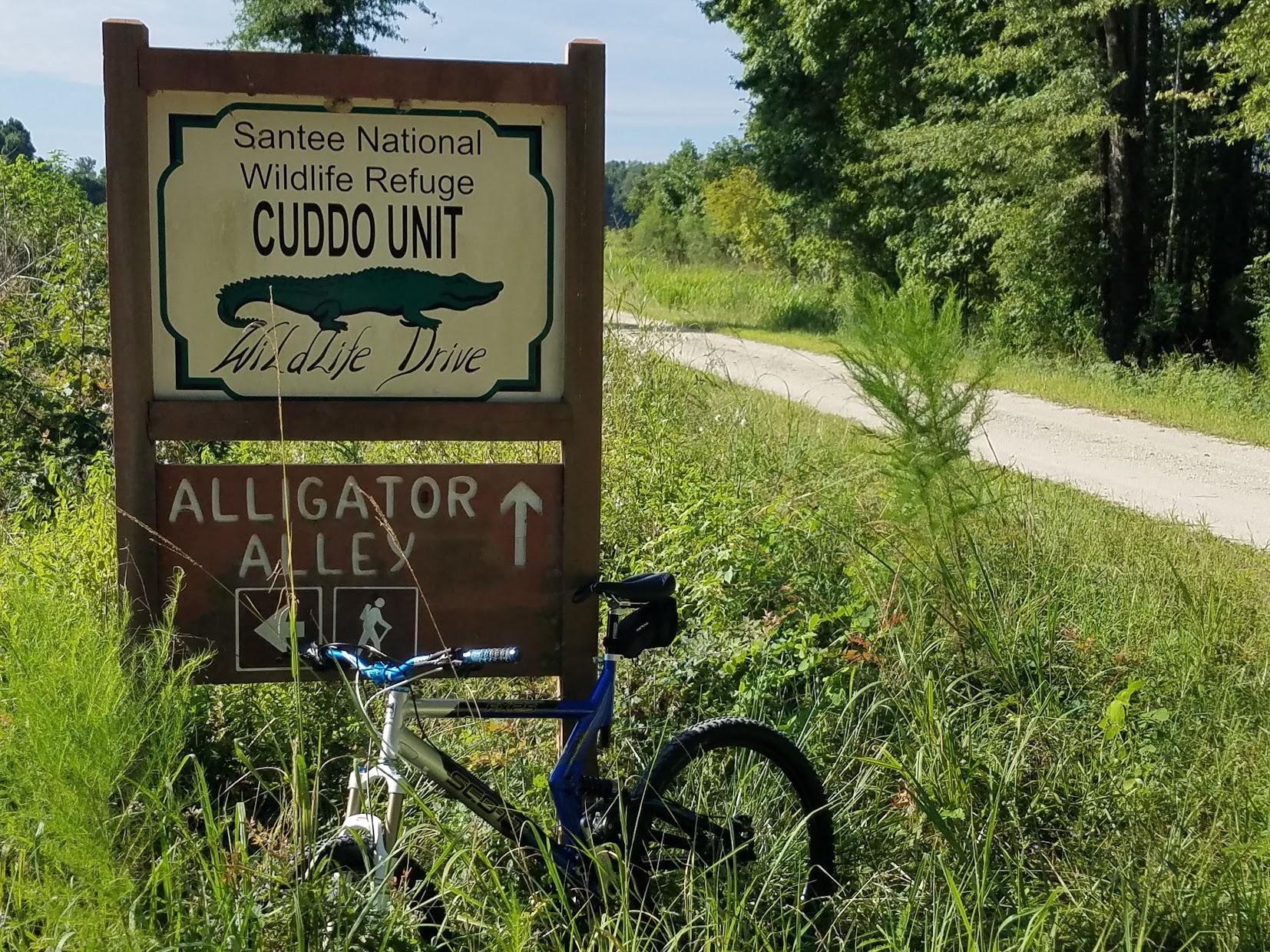 A sign for the Santee National Wildlife Refuge Cuddo Unit, indicating the direction for Alligator Alley, with a bike parked next to it. The background features lush greenery and a dirt road. Federal Refuge (Cuddo Unit) mountain bike trail.
