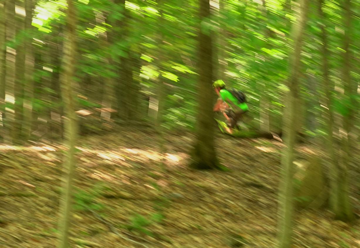 A person in a bright green shirt and helmet is seen moving quickly through a lush, green forest, surrounded by trees and dappled sunlight. The image has a blurred effect, suggesting motion and speed as they traverse the forest floor covered with leaves. Mount Pisgah II: the left side mountain bike trail.