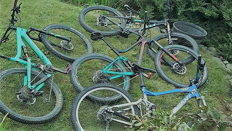 LIV Embolden 1: A group of mountain bikes scattered on a grassy area, featuring a mix of colors including teal, blue, and black. The bikes are positioned at various angles, showcasing their wheels and frames amidst green foliage.