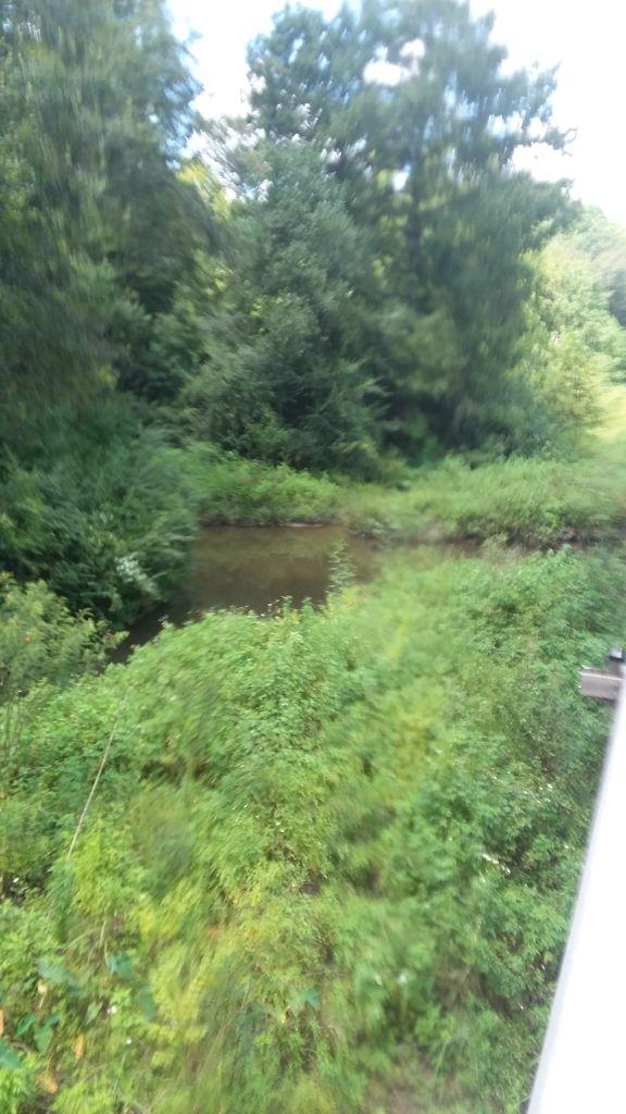 A Green landscape featuring a small, calm stream bordered by lush, dense vegetation and trees under a clear sky. Beaver Creek / Forever Wild Trails mountain bike trail.