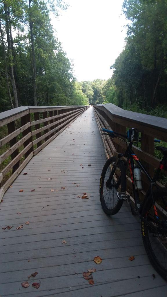 A wooden bridge surrounded by greenery, with a bicycle resting on the railing. Leaves scattered along the pathway lead onwards through a lush, wooded area under a bright sky. Beaver Creek / Forever Wild Trails mountain bike trail.