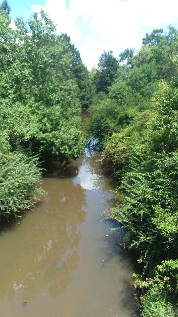 A serene view of a winding, muddy river surrounded by lush greenery, including trees and dense shrubs, under a partly cloudy blue sky. Beaver Creek / Forever Wild Trails mountain bike trail.