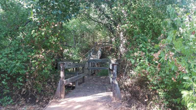 A wooden walkway leads through a lush green environment, flanked by dense foliage. The path is partly shaded, and a set of stairs can be seen in the background, suggesting a continuation into a natural area. Blue Loop mountain bike trail.