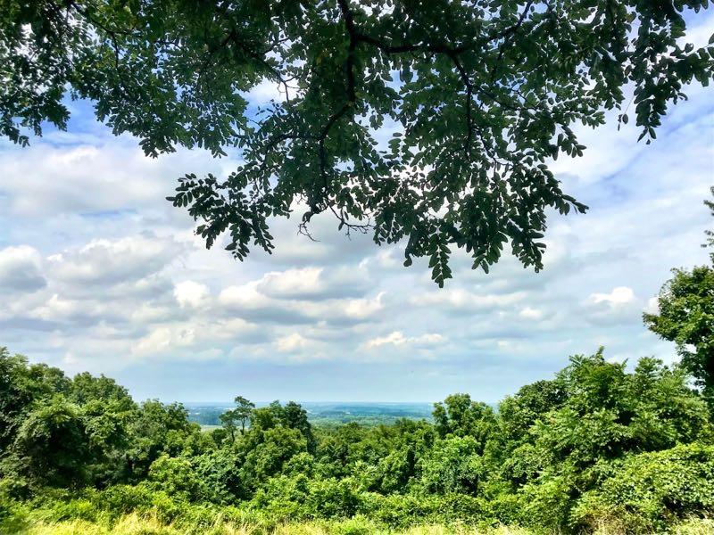 A panoramic view of a lush green landscape under a partly cloudy sky, framed by tree branches in the foreground. The scenery includes rolling hills and dense foliage extending into the distance. Chestnut Ridge mountain bike trail.