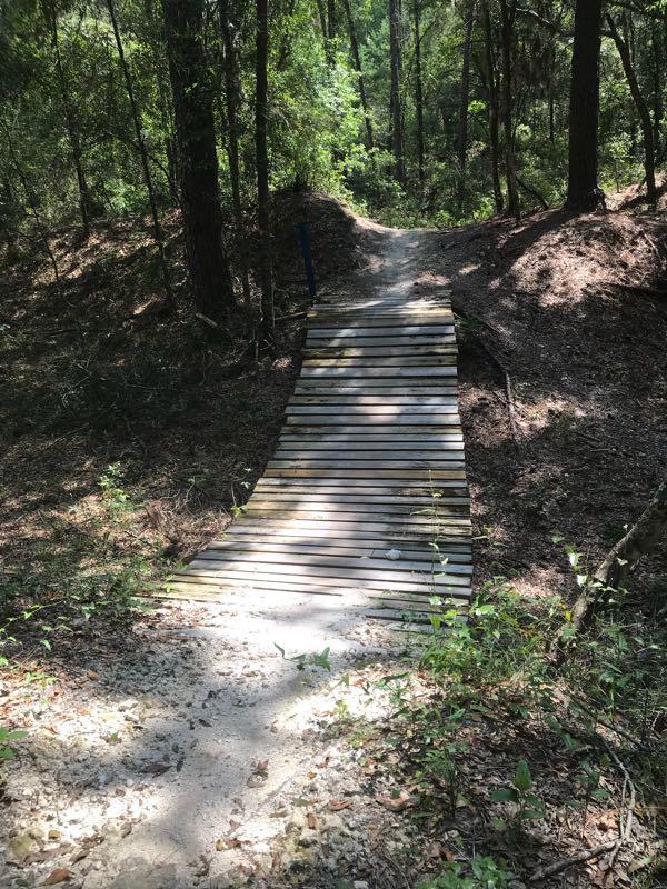  Briar Patch mountain bike trail.