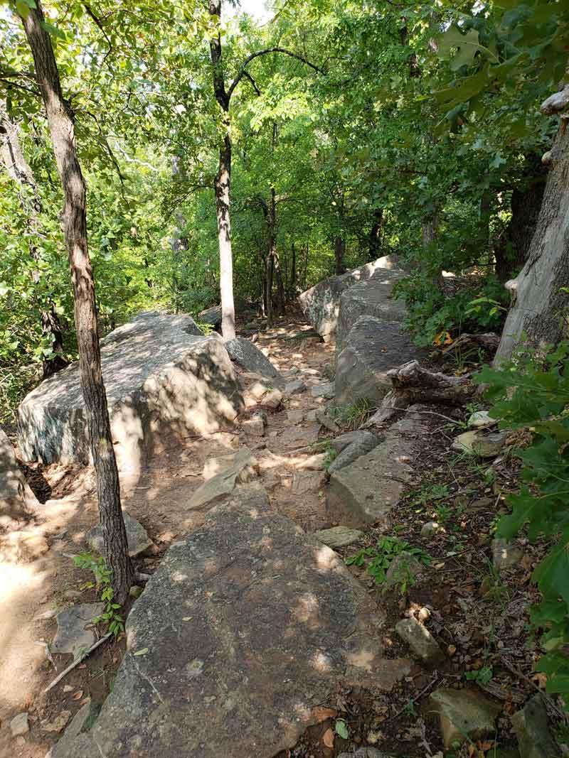 A narrow, rocky path surrounded by lush greenery and trees, with large boulders on either side and dappled sunlight filtering through the leaves. Turkey Mountain mountain bike trail.