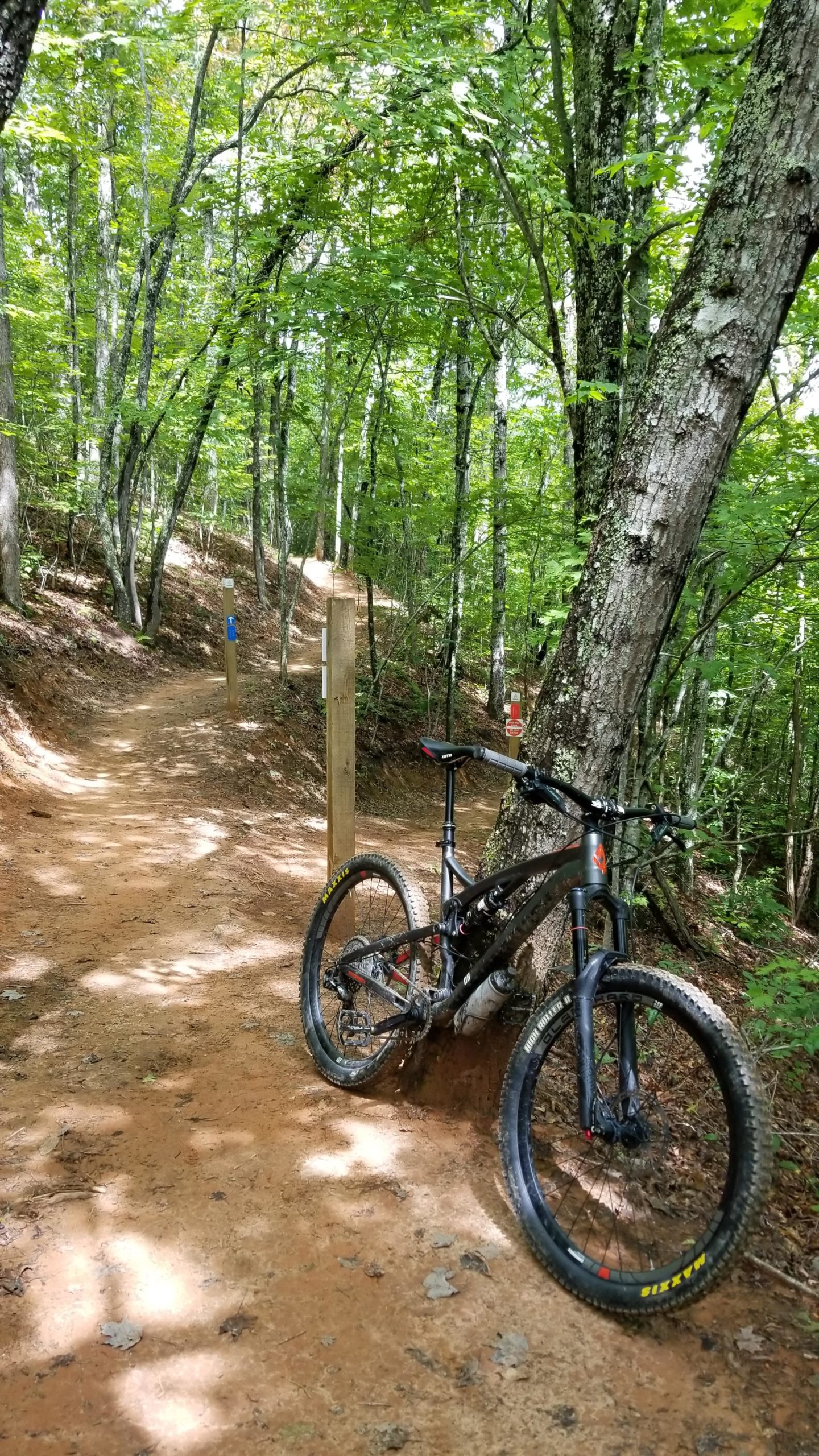 A mountain bike leaning against a tree on a dirt trail surrounded by lush greenery, with trail markers visible in the background. The path forks, suggesting multiple directions for biking adventures. Sunlight filters through the leaves, creating a dappled light effect on the ground. Kessel Run mountain bike trail.