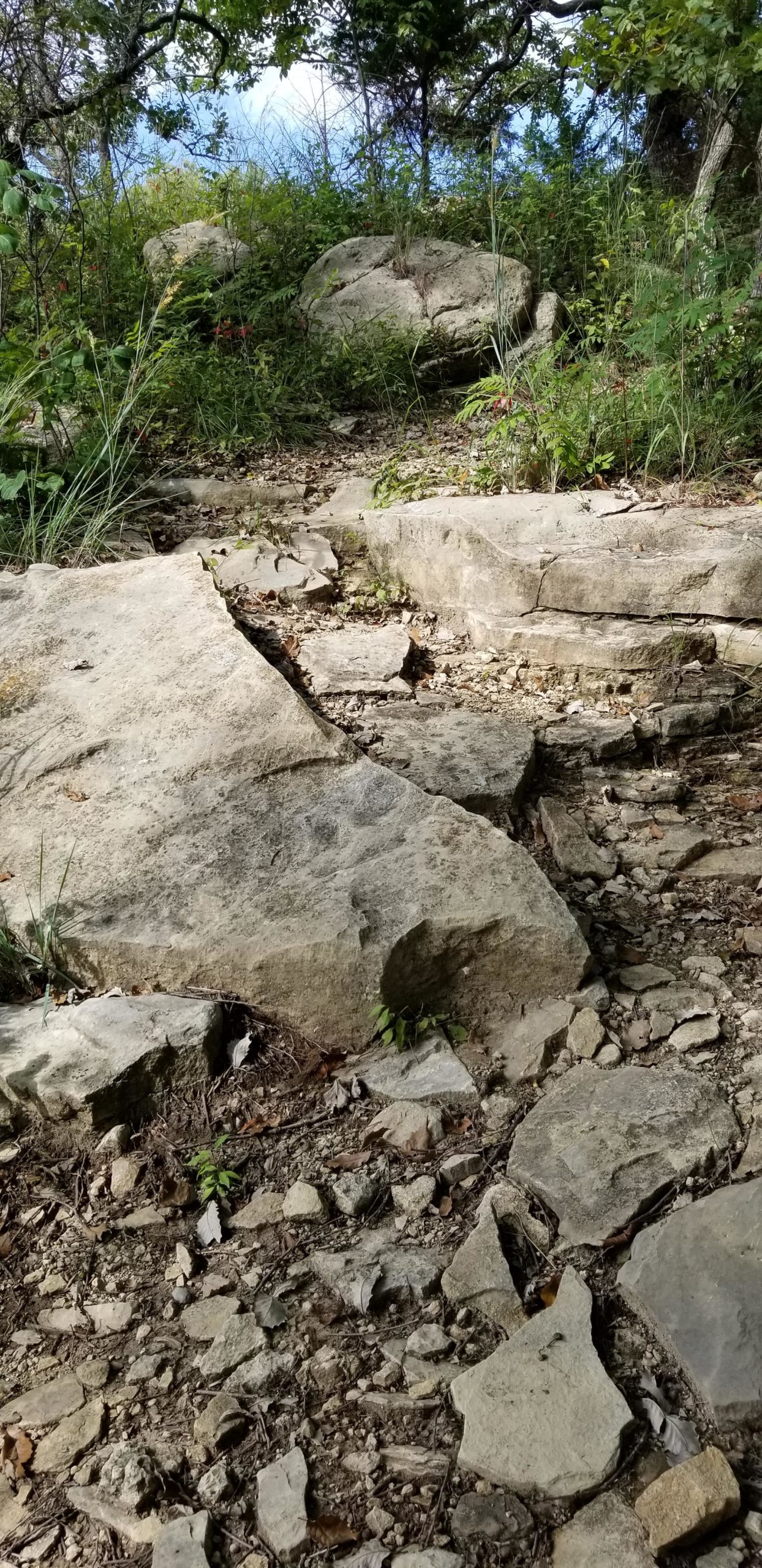 Rocky terrain with uneven stone surfaces and patches of dirt, surrounded by greenery and small plants. The image captures a natural pathway leading through a forested area, with large boulders and scattered rocks. Camp Horizon mountain bike trail.