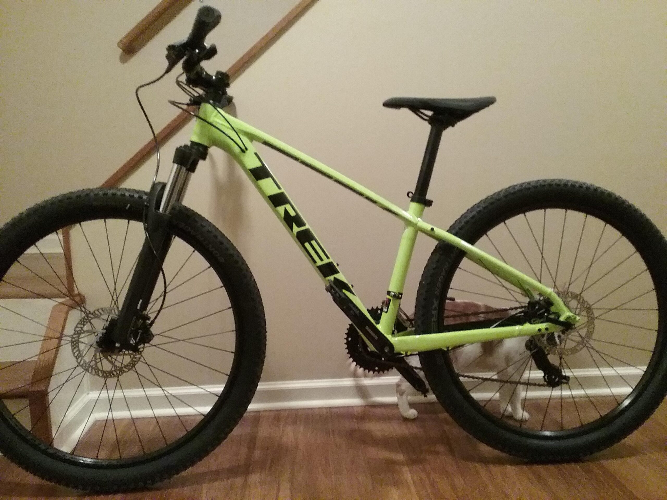 Trek Marlin 5: A bright green Trek mountain bike leaning against a wall in a hallway, showcasing its black tires and disc brakes. A white cat is partially visible behind the bike. The scene is set on wooden flooring with a staircase in the background.