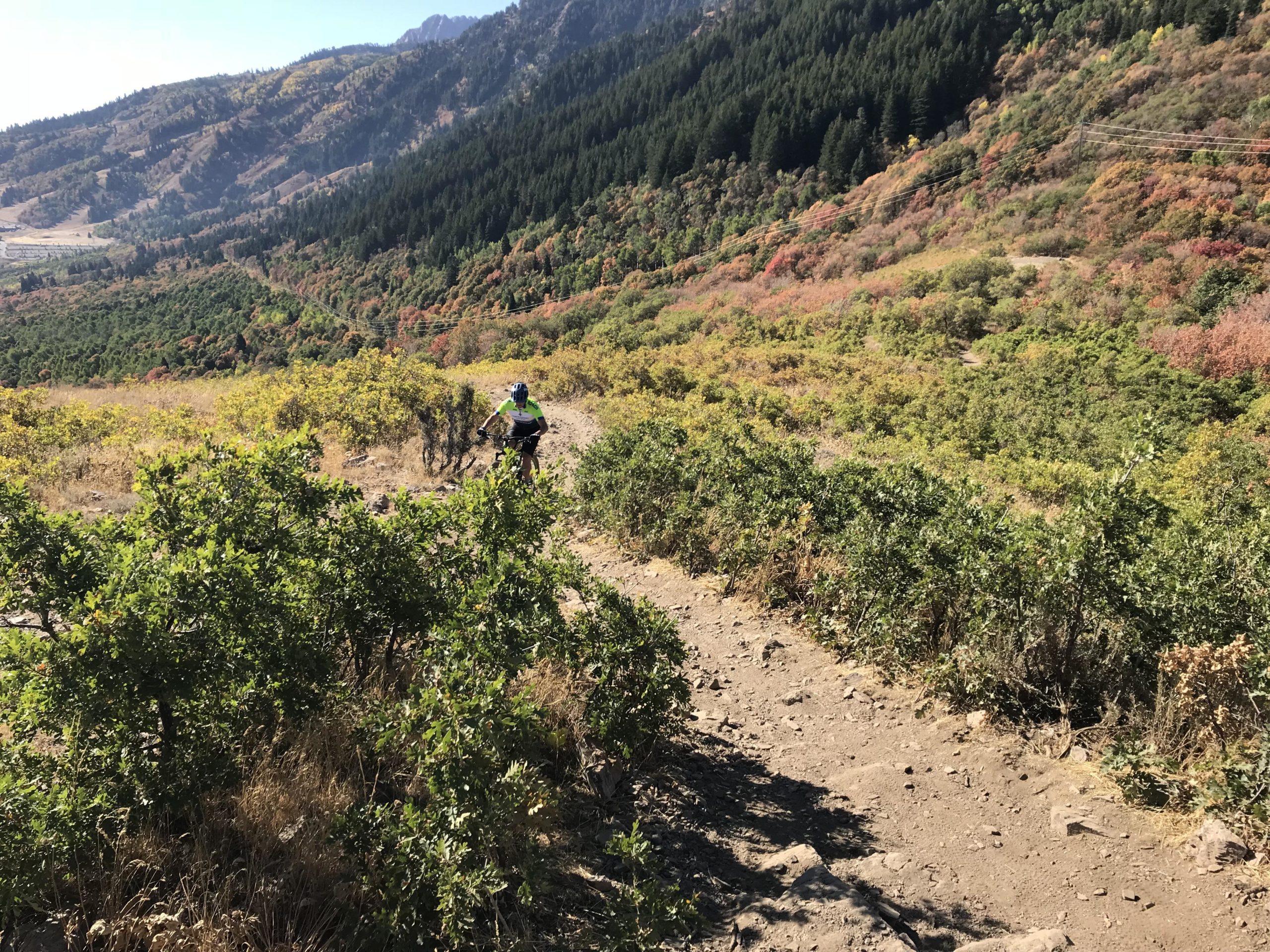 A mountain biker rides on a narrow dirt trail surrounded by green shrubs and trees, with colorful foliage on the hills in the background under a clear blue sky. Snowbasin Resort mountain bike trail.