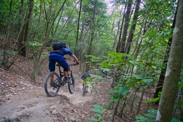 Two mountain bikers navigate a dirt trail through a dense forest, surrounded by trees and greenery. One biker is in the foreground, riding uphill with a backpack, while the other follows closely behind, descending the trail. The scene captures the thrill of off-road biking in a natural setting.