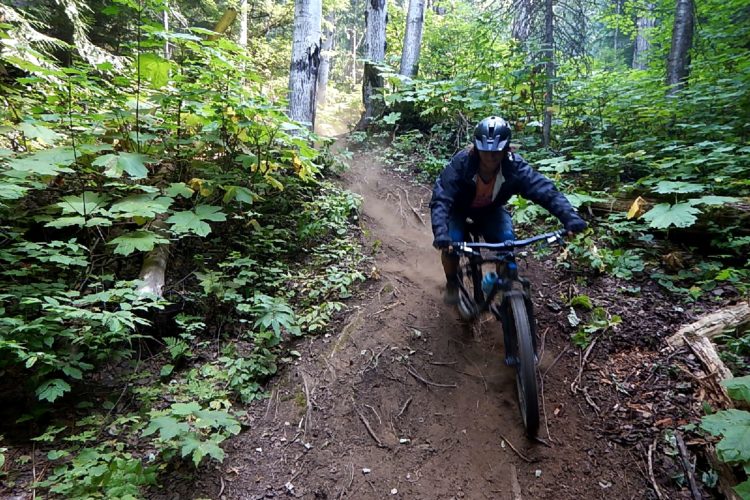 A mountain biker navigates a dirt trail through a lush green forest, surrounded by tall trees and dense foliage. Dust is kicked up from the trail as the biker leans into the turn, wearing a helmet and casual clothing.
