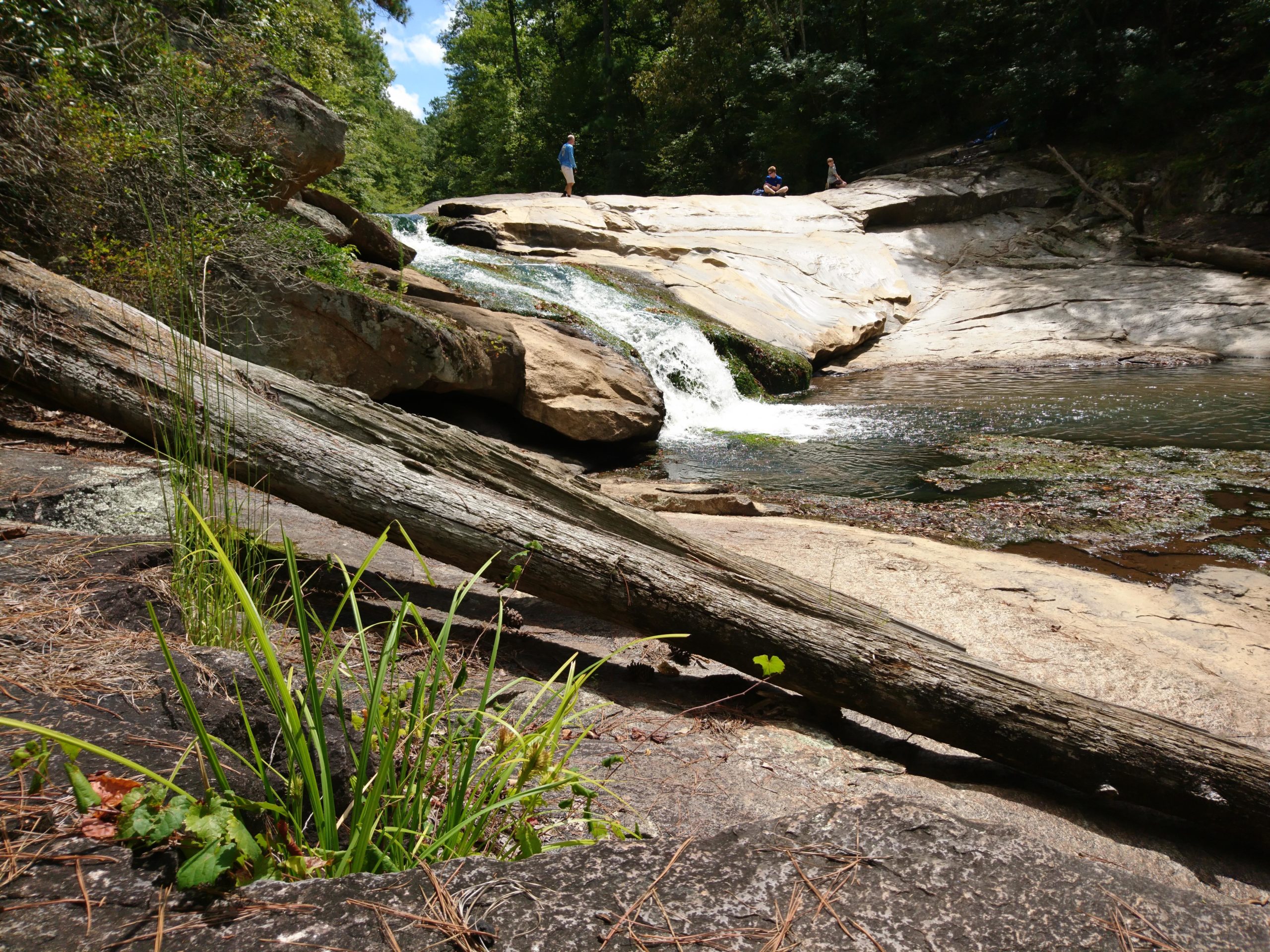 A serene natural landscape featuring a small waterfall cascading over smooth rocks, surrounded by lush greenery. In the foreground, tall grass and foliage grow near a large fallen log. In the background, two people are seen sitting on the rocks near the water, under a bright blue sky with scattered clouds. Cochran Mill Park mountain bike trail.