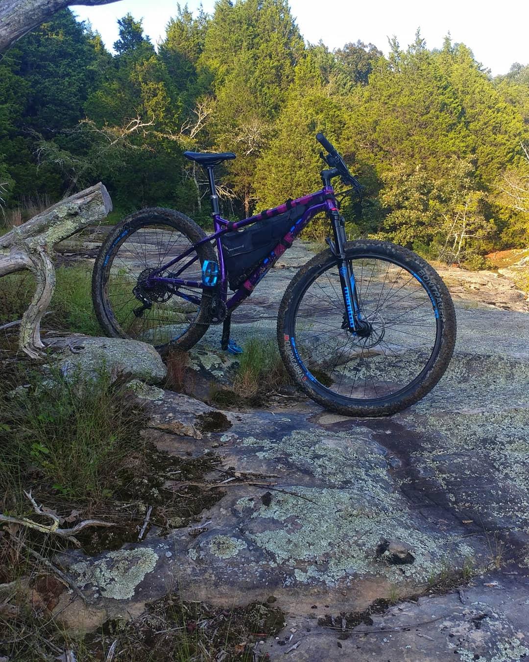Trek Stache 7: A mountain bike parked on rocky terrain surrounded by greenery, with sunlight filtering through the trees in the background. The bike is primarily purple with black and blue accents, featuring a sturdy frame and thick tires suitable for off-road riding.