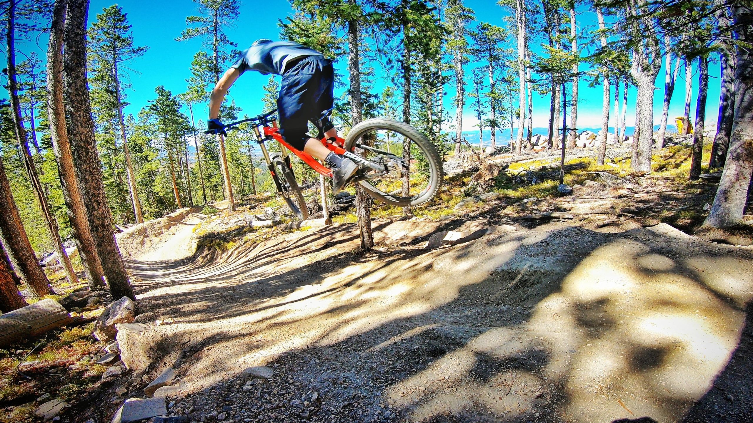 A mountain biker performing a jump on a dirt trail surrounded by tall pine trees under a clear blue sky. The trail is winding with some rocks and dirt features, showcasing an outdoor biking adventure in a scenic forest setting. Trestle Bike Park mountain bike trail.