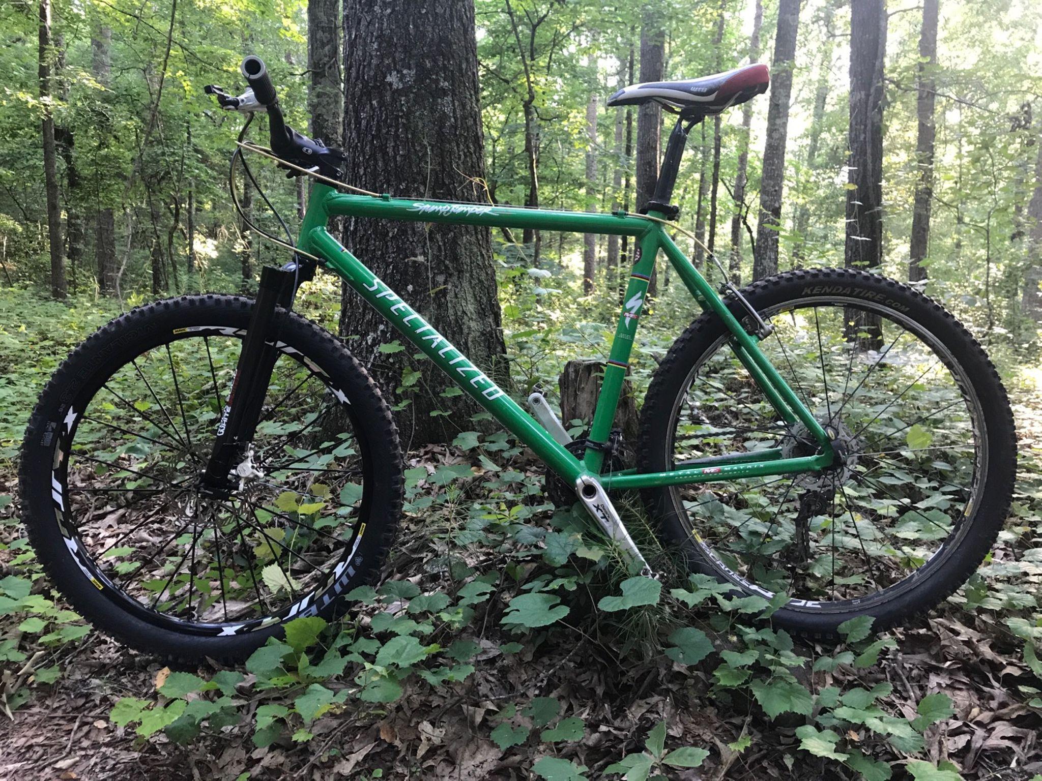 A green mountain bike leaning against a tree in a wooded area, surrounded by greenery and fallen leaves. The bike features a sturdy frame, black wheels with knobby tires, and a comfortable saddle. Sunlight filters through the trees, creating a serene outdoor setting. Yellow River mountain bike trail.