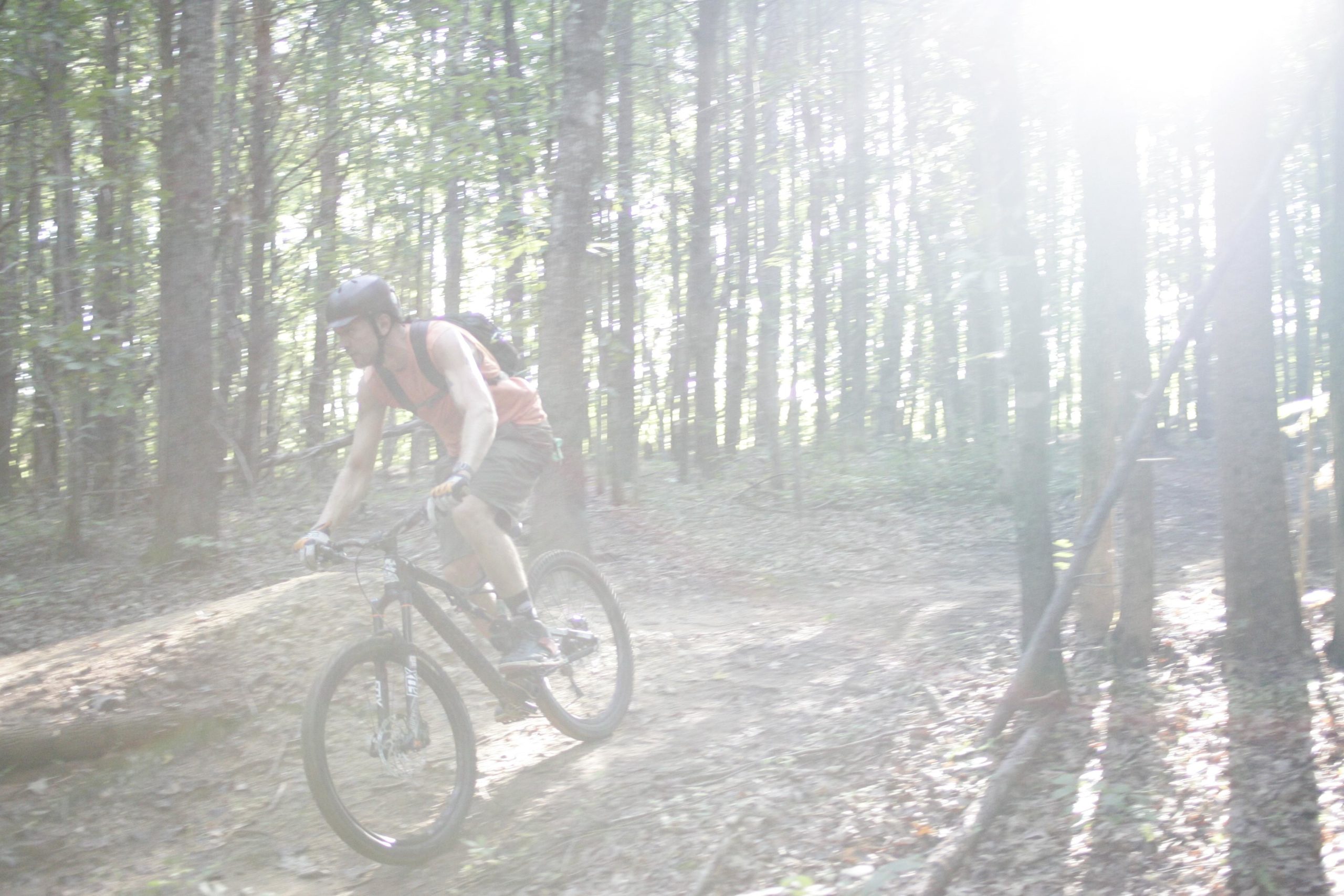 A mountain biker wearing a helmet and an orange tank top rides along a dirt trail through a sunlit forest. Tall trees surround the trail, casting soft shadows on the ground. Dust is kicked up behind the bike, indicating speed and an adventurous ride. Angler's Ridge mountain bike trail.