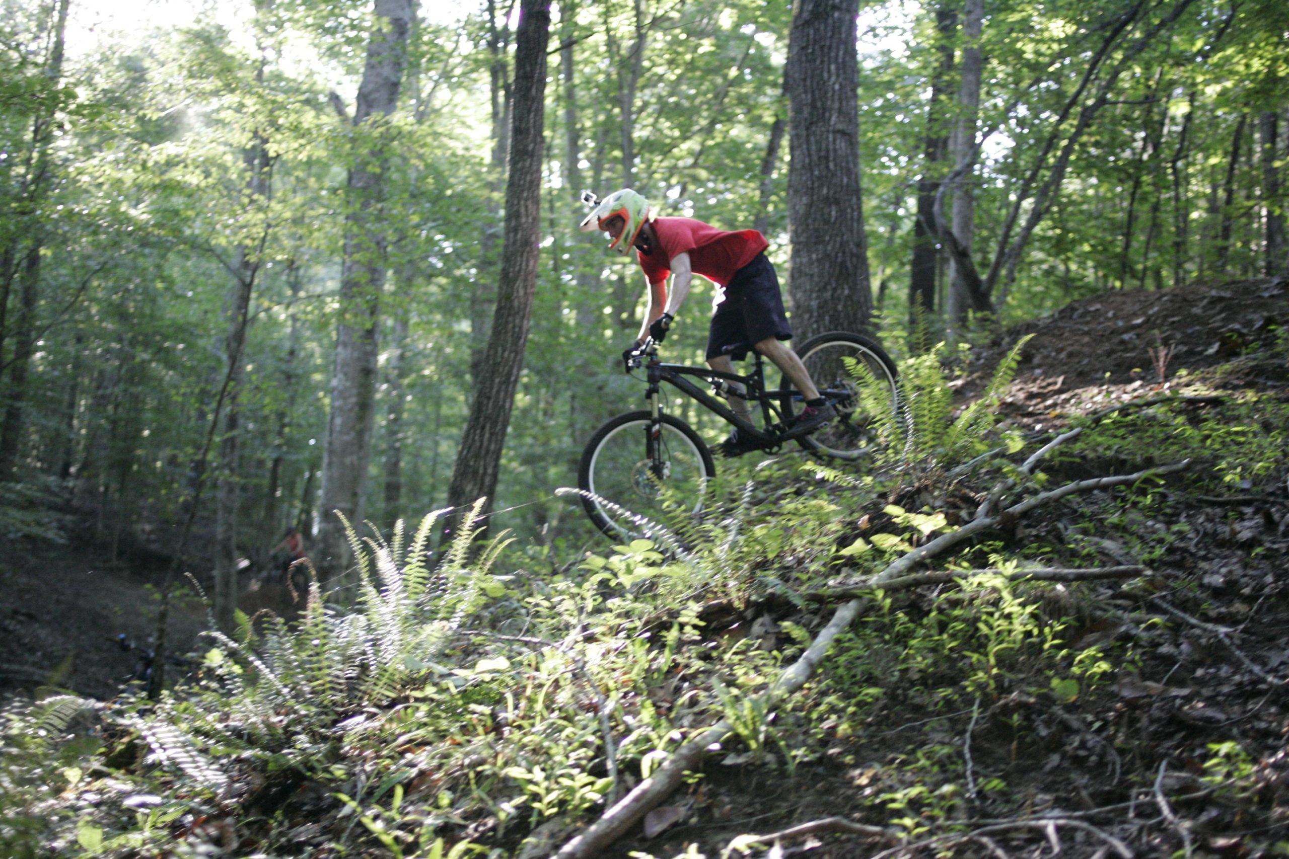 A mountain biker in a red shirt and helmet rides down a steep, wooded trail surrounded by green ferns and trees. The biker is focused and balanced on the bike as they navigate the terrain. Sunlight filters through the leaves, creating a dappled light effect on the ground. Angler's Ridge mountain bike trail.