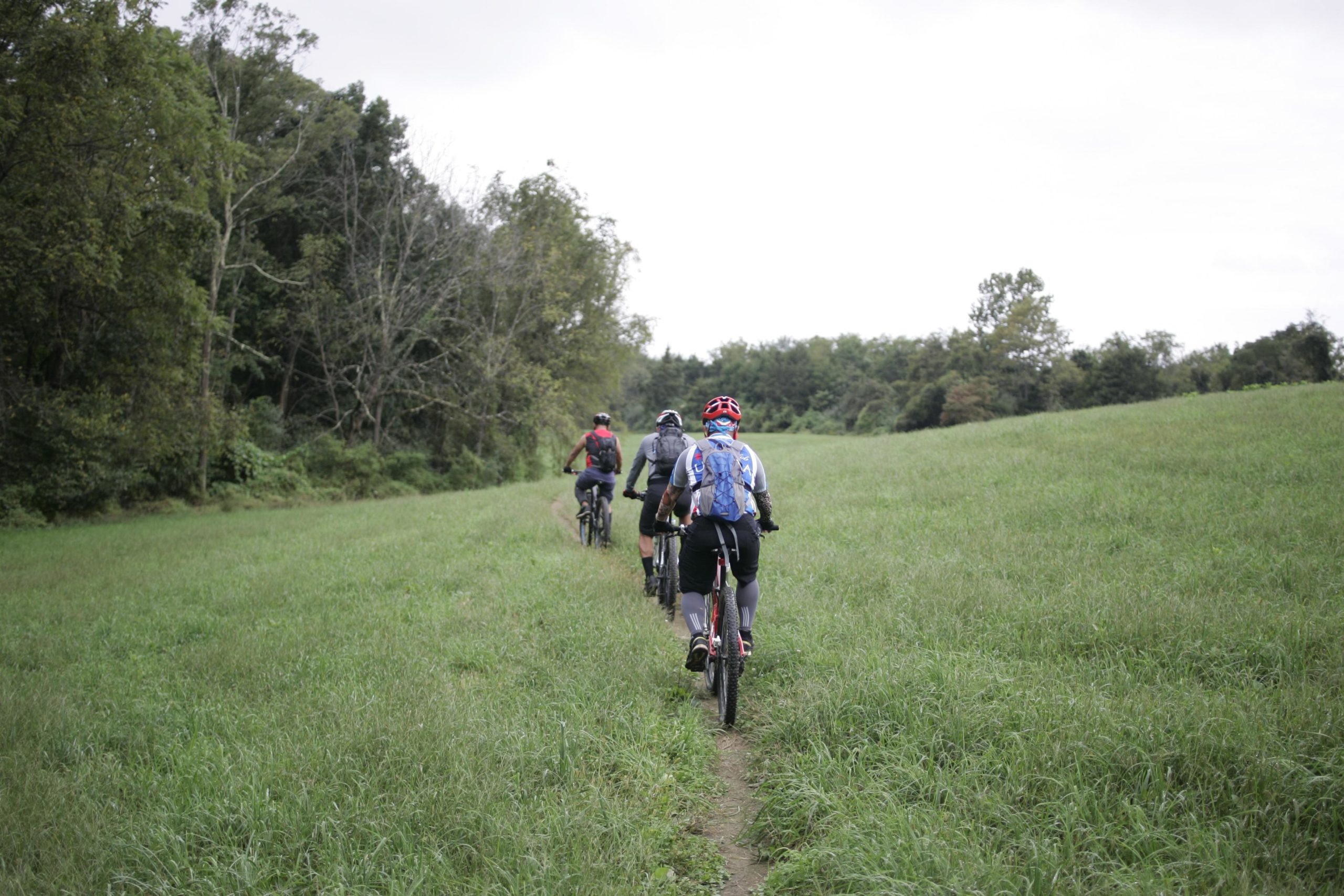 Three mountain bikers riding along a narrow dirt path through a grassy field, surrounded by trees under an overcast sky. Massanutten Western Slope mountain bike trail.