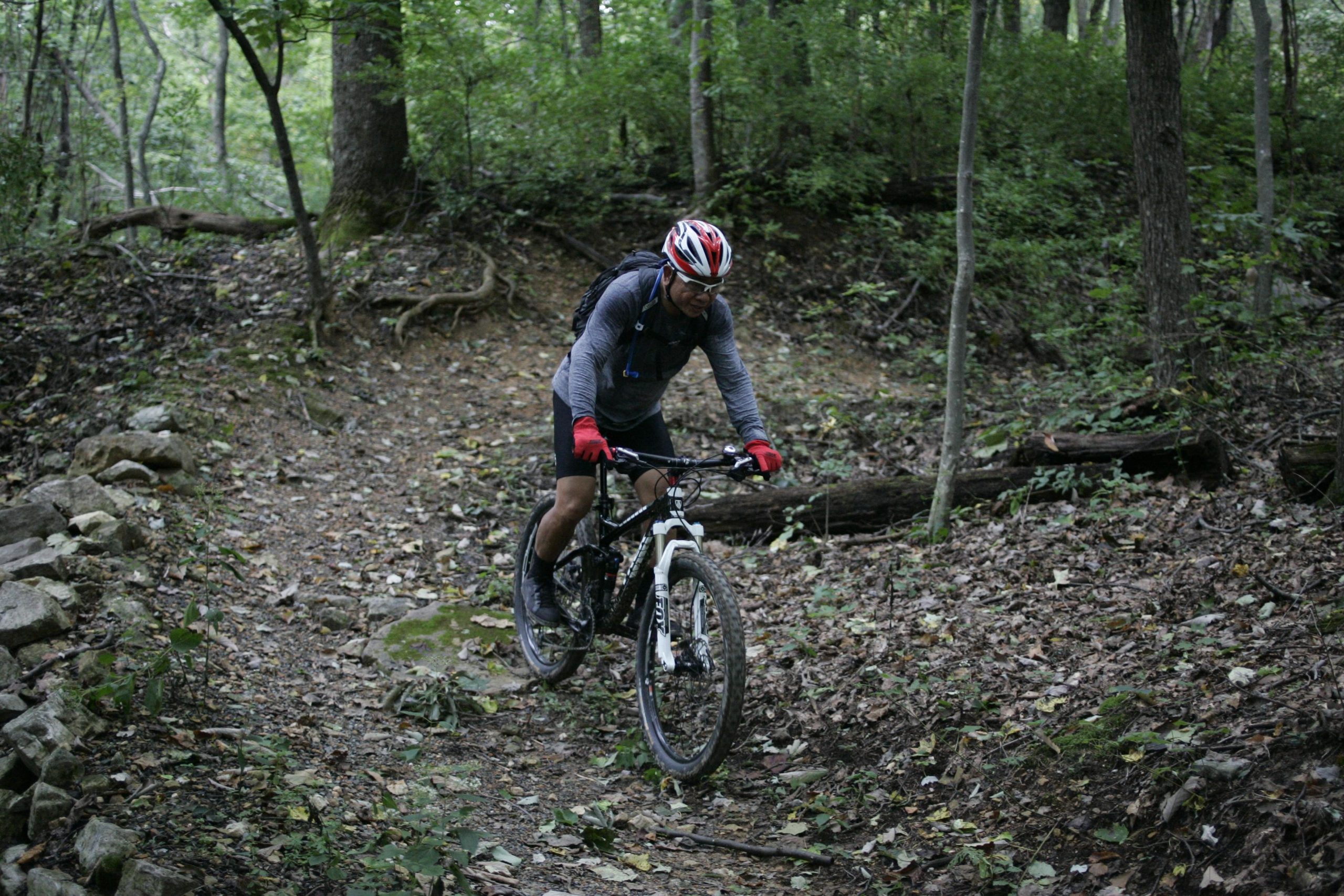 A cyclist riding a mountain bike on a dirt trail surrounded by trees and foliage, wearing a helmet and gloves, navigating through a natural forest setting. Massanutten Western Slope mountain bike trail.