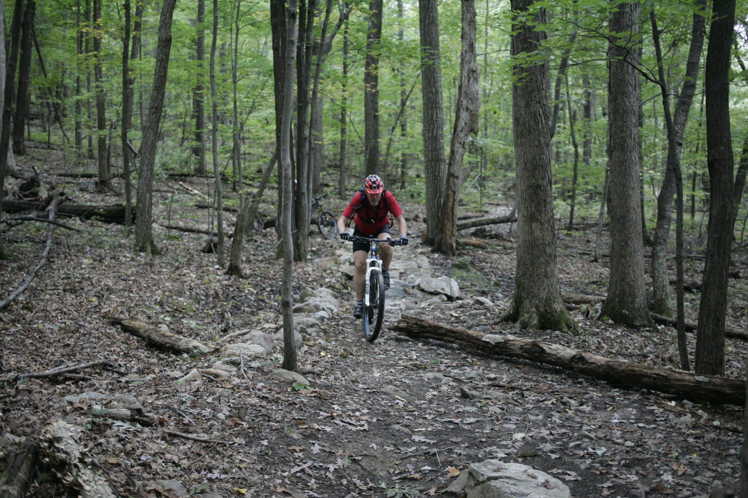 A mountain biker rides through a rocky path in a wooded area, surrounded by tall trees and fallen logs. The terrain is covered with leaves and stones, showcasing a natural and rugged landscape. Massanutten Western Slope mountain bike trail.