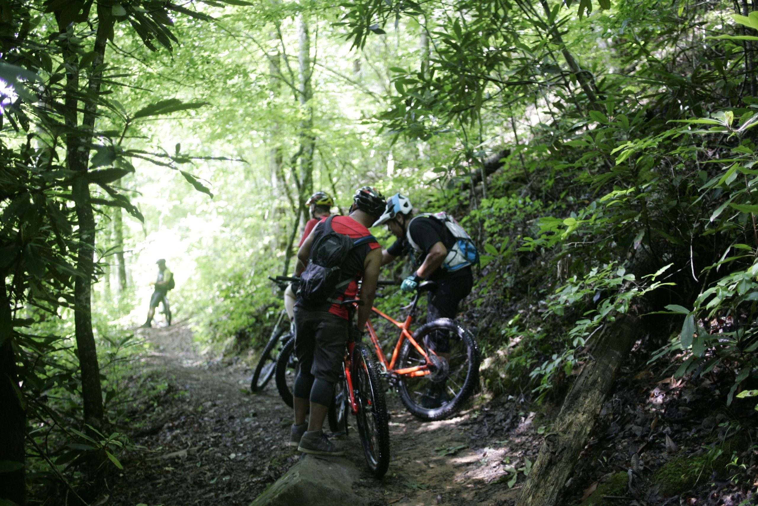 Four mountain bikers are stopped on a narrow, wooded trail surrounded by vibrant green foliage. Two riders are inspecting a bicycle while another stands nearby. A fourth cyclist is in the background, positioned further down the trail. Sunlight filters through the trees, casting a soft glow on the scene. Tsali Left Loop mountain bike trail.