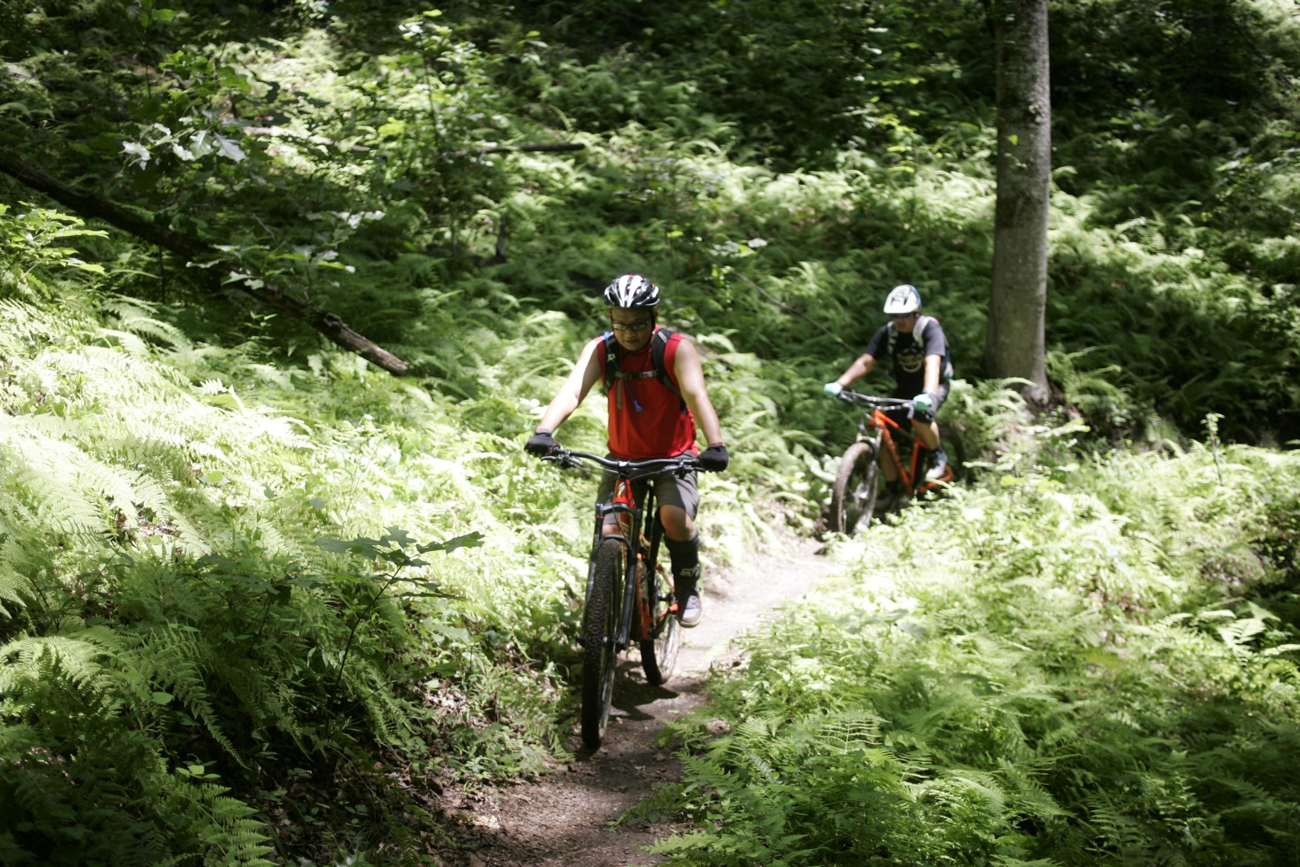Two mountain bikers riding on a narrow trail surrounded by lush green ferns and trees. One rider is wearing a red tank top and is in the foreground, while the other, dressed in a black shirt and helmet, is slightly behind. The scene is bright and captures the natural beauty of the outdoor environment. Tsali Recreation Area mountain bike trail.