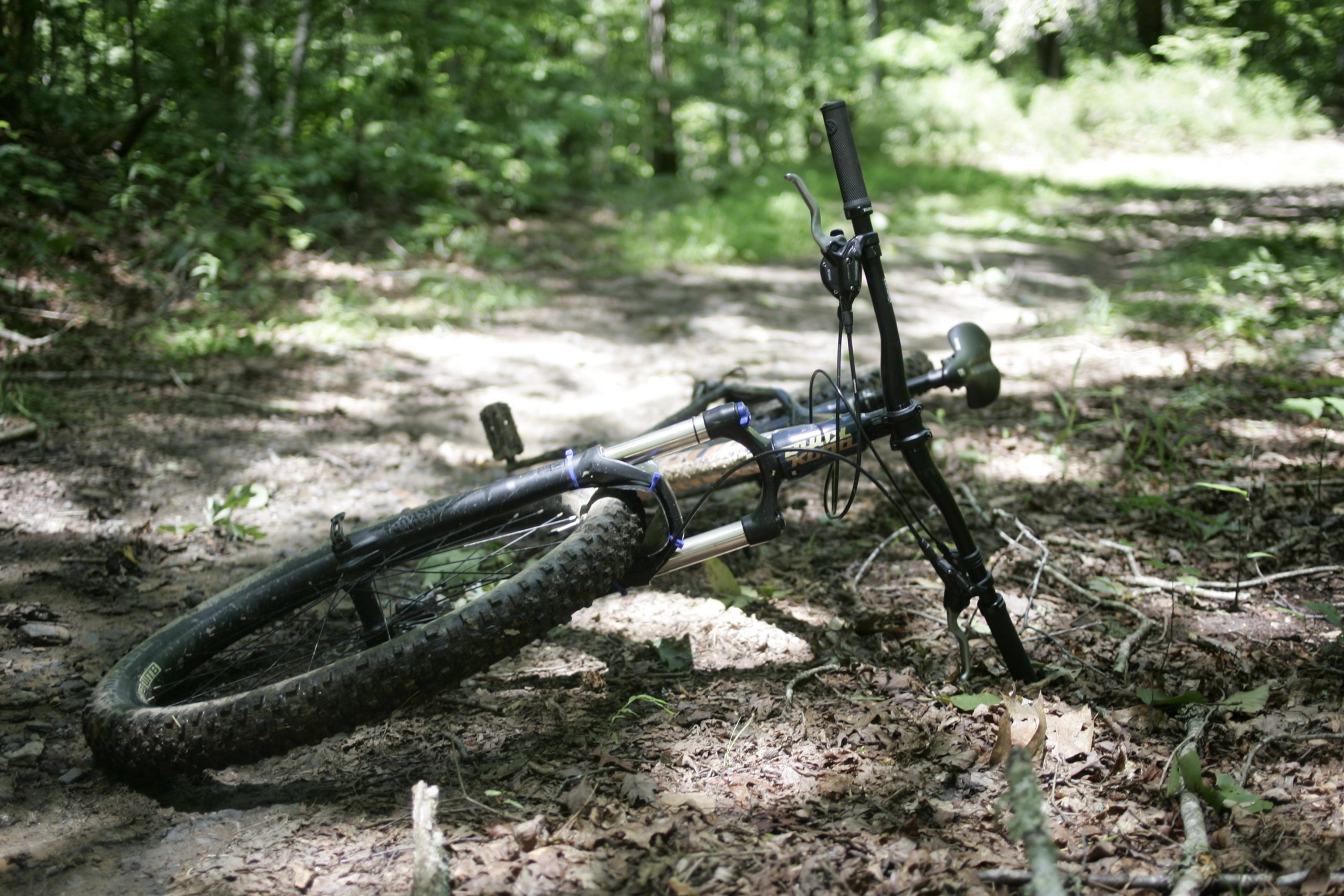 A black mountain bike lying on its side on a dirt trail, surrounded by lush green trees and foliage. The bike is partially covered with leaves and twigs, indicating it may have been abandoned or fallen. The sunlight filters through the trees, casting dappled light on the scene. Tsali Recreation Area mountain bike trail.