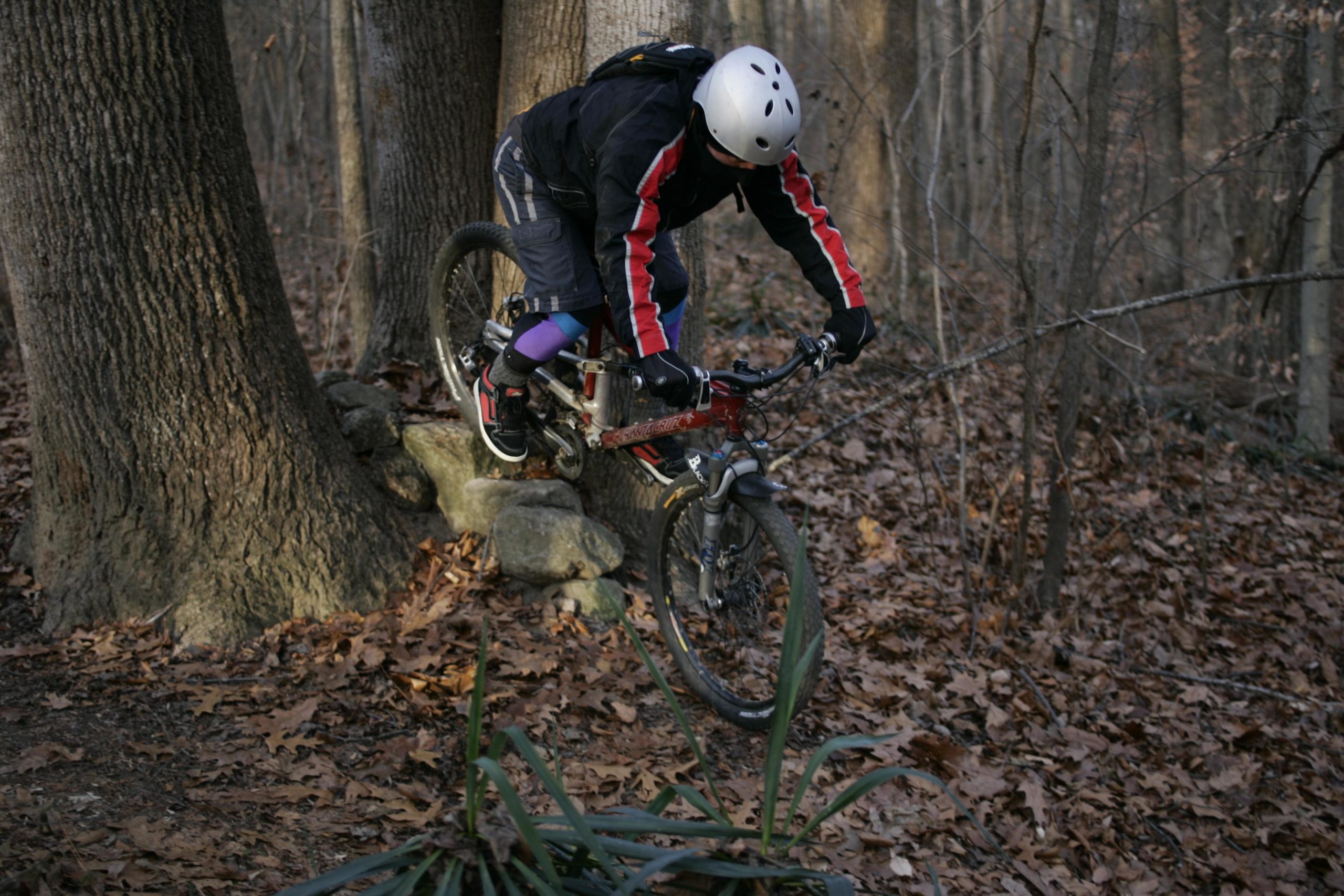 A mountain biker in protective gear navigates a rocky obstacle in a wooded area, surrounded by fallen leaves and tall trees. The rider is leaning forward on the bike, concentrating on maintaining balance while attempting to maneuver over the rocks. Hobby Park mountain bike trail.